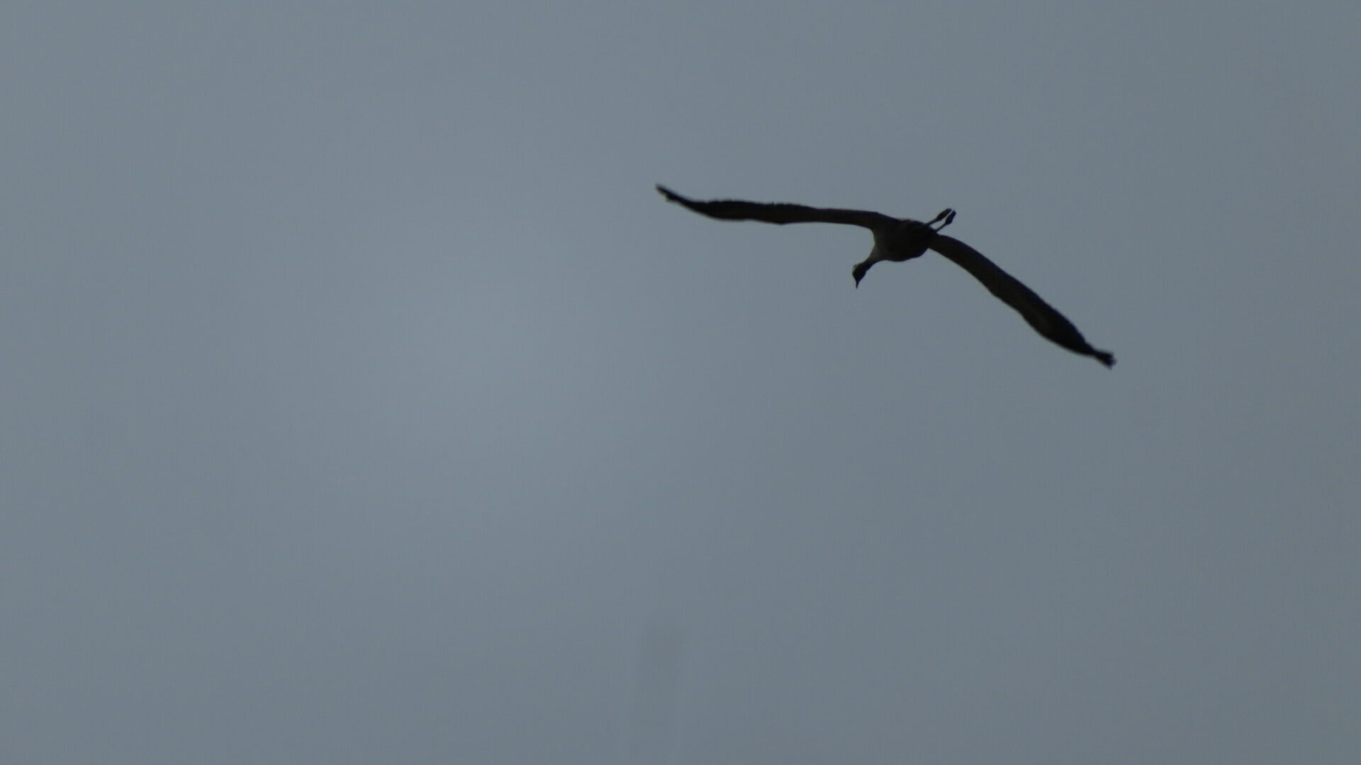 Valokuvaaja: Risto Kangassalo