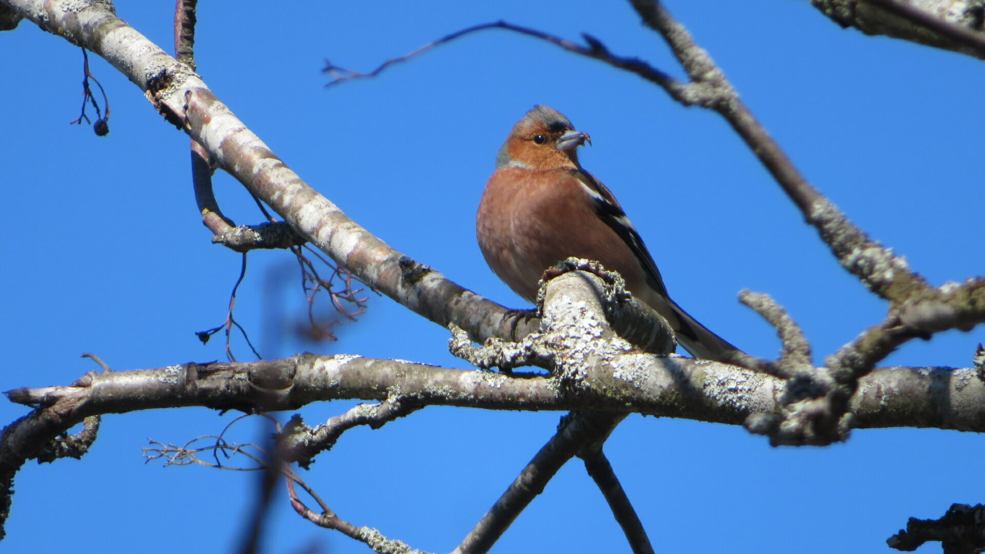 Valokuvaaja: Risto Kangassalo