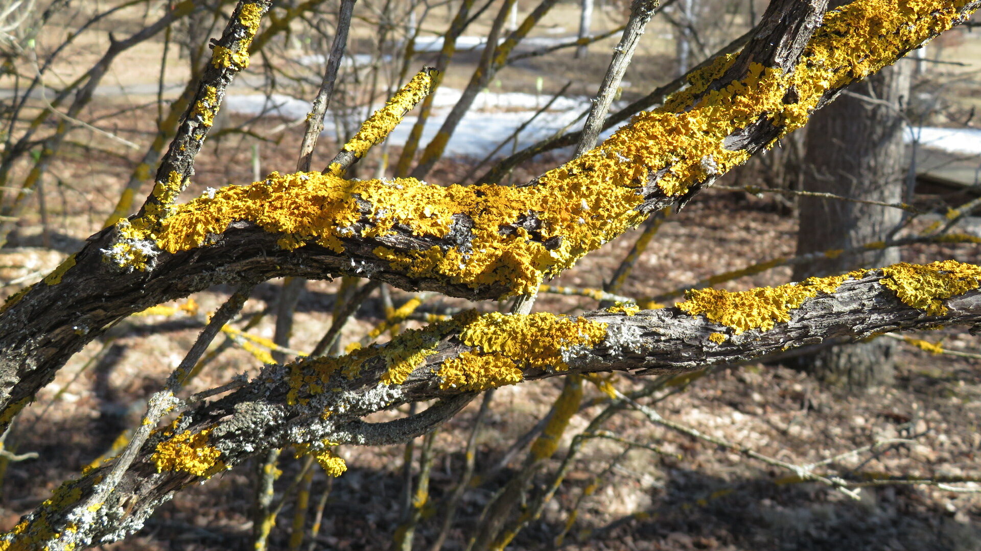 Valokuvaaja: Risto Kangassalo