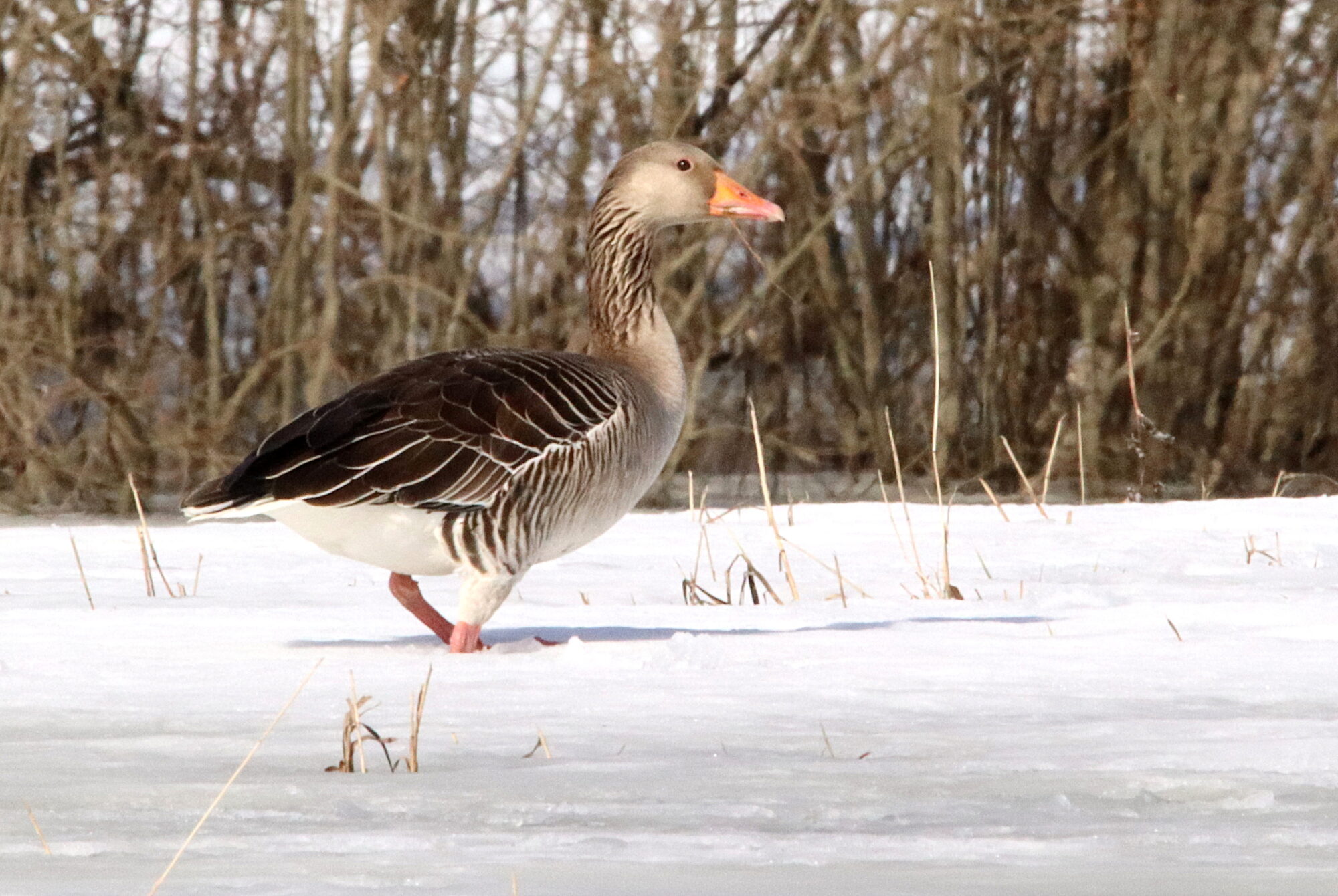 Valokuvaaja: Irja Lehtinen