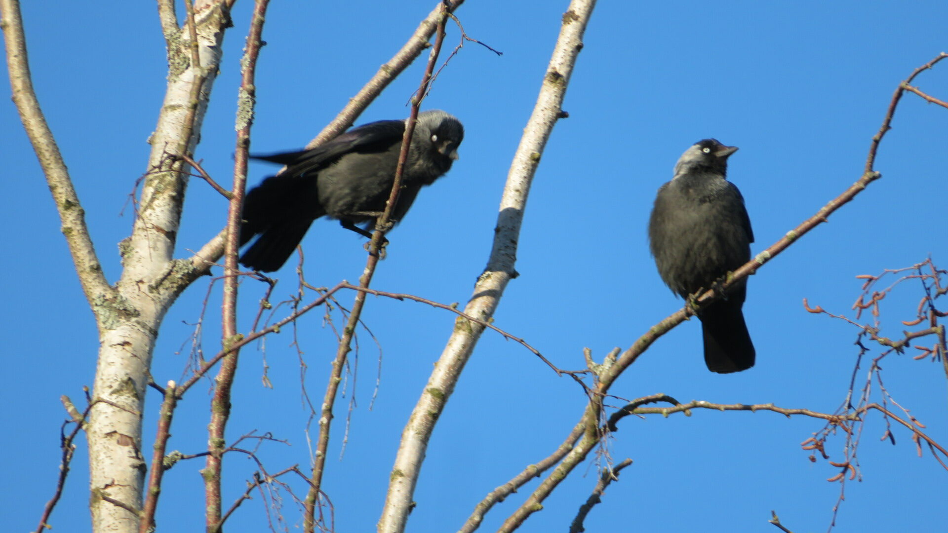 Valokuvaaja: Risto Kangassalo