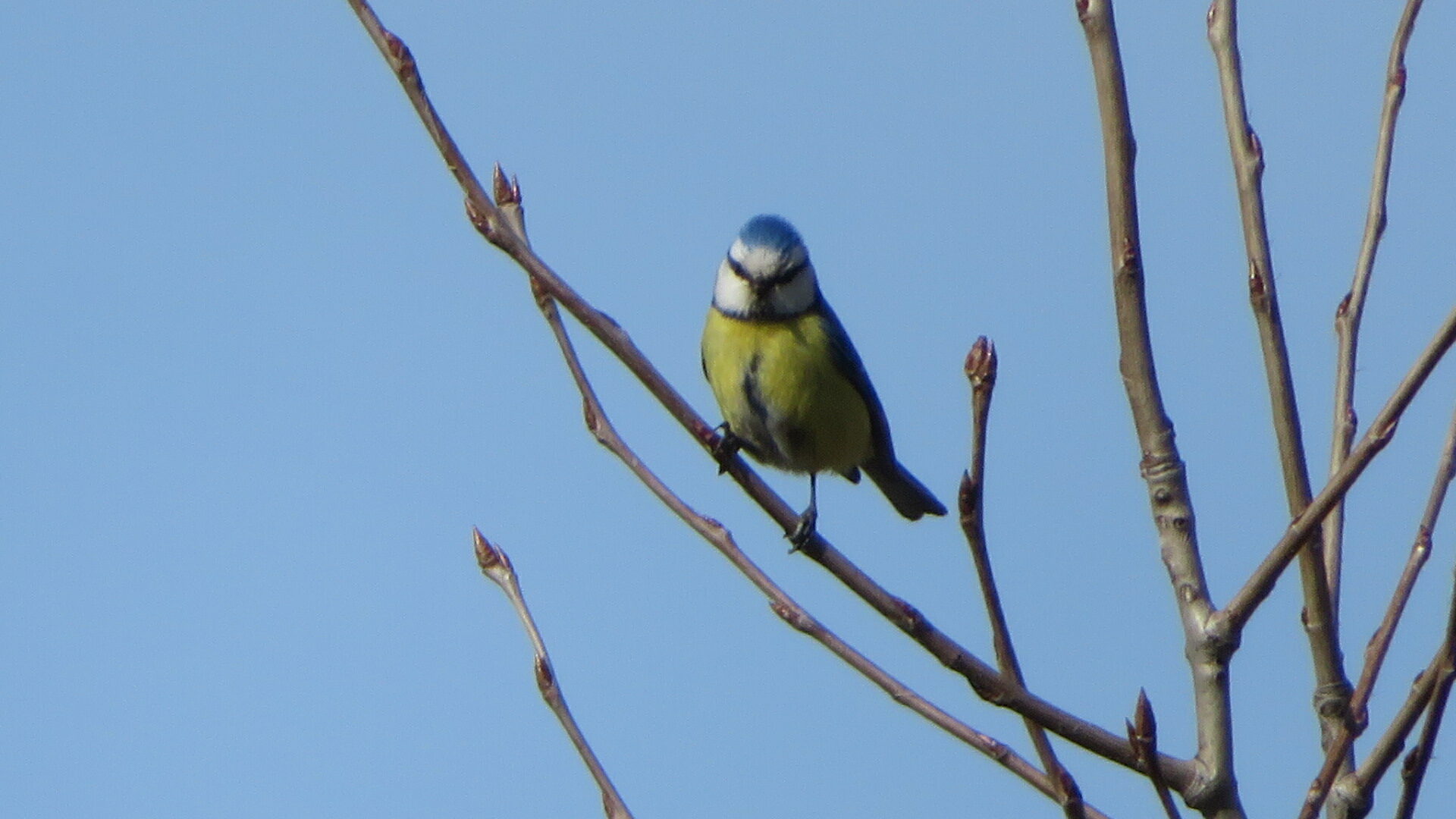 Valokuvaaja: Risto Kangassalo