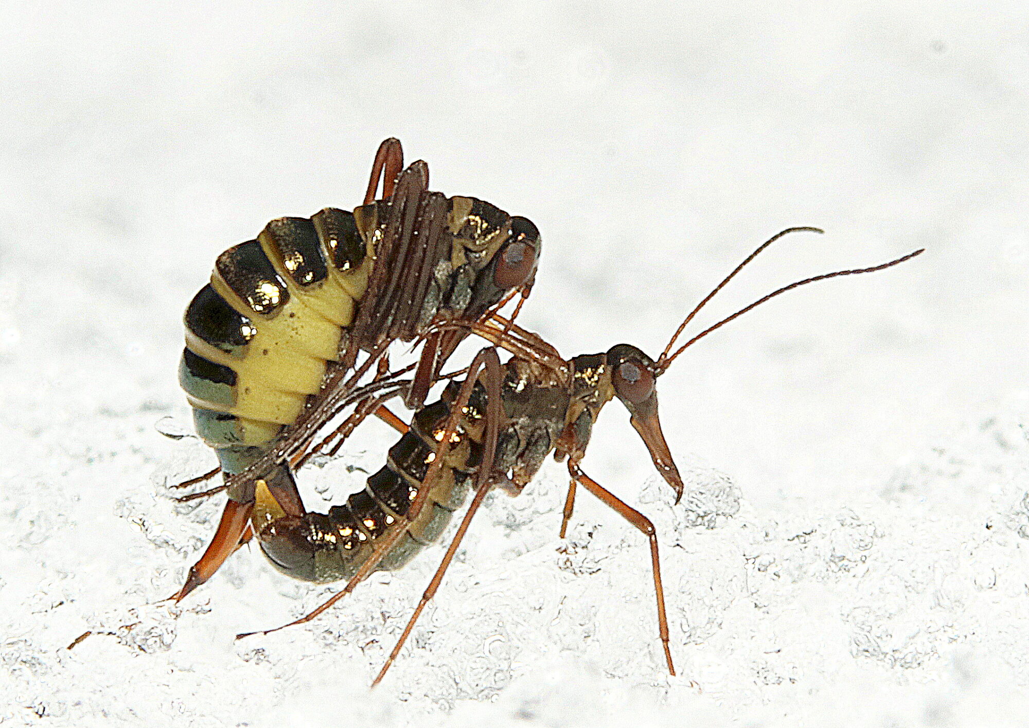 Valokuvaaja: Hannu Rasiranta