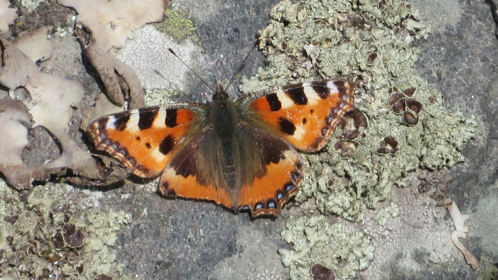 Valokuvaaja: Risto Kangassalo