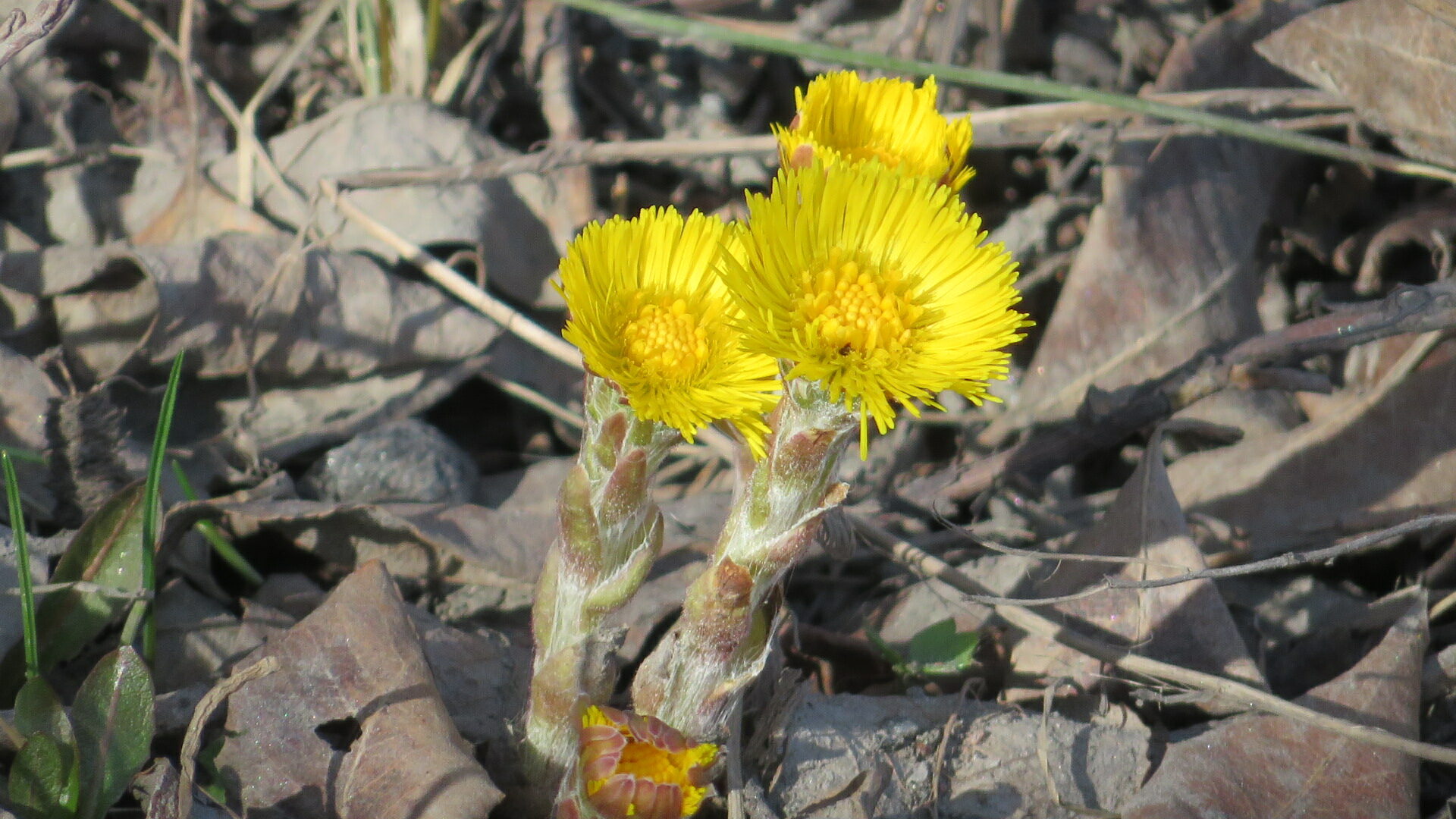 Valokuvaaja: Risto Kangassalo