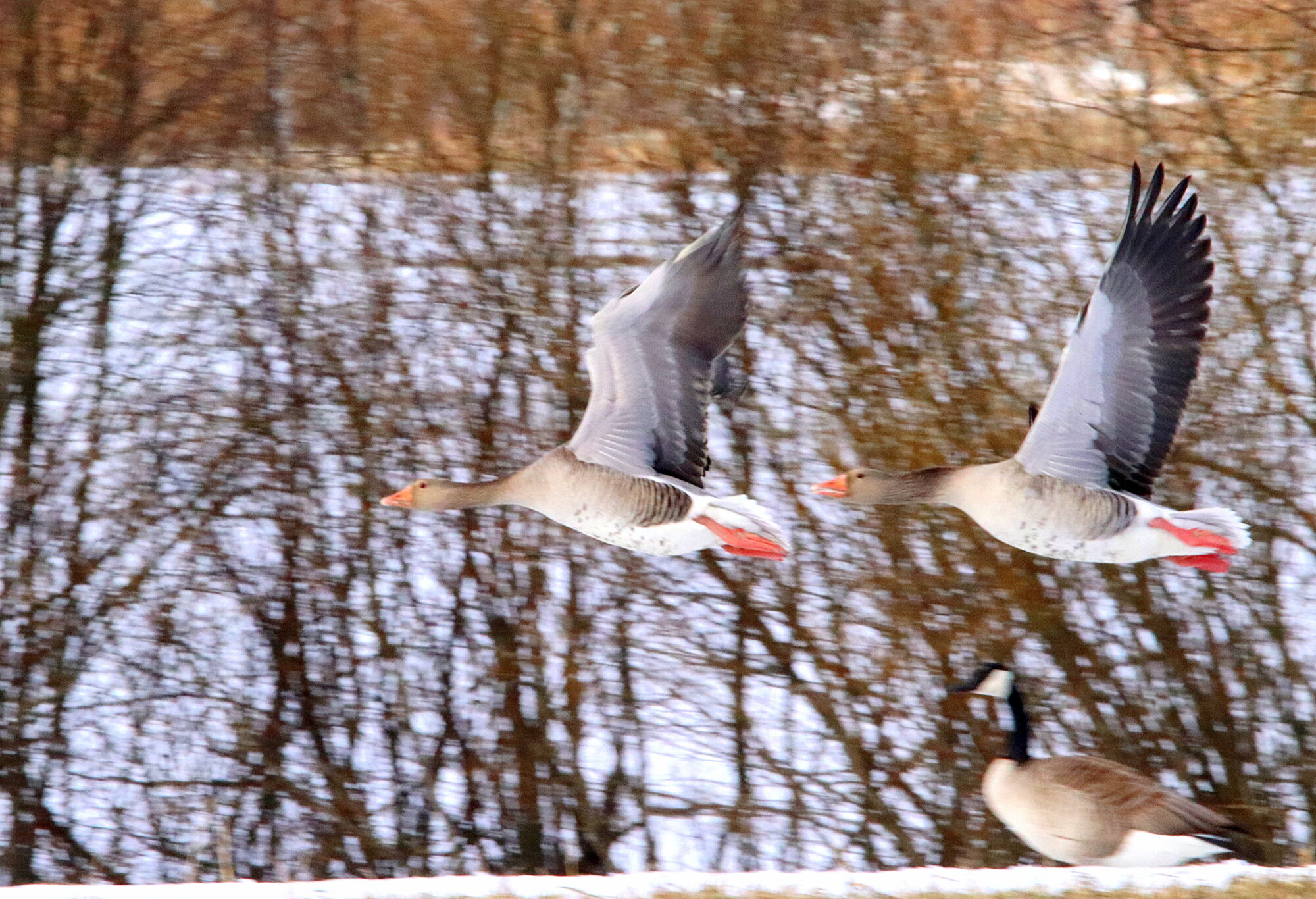 Valokuvaaja: Irja Lehtinen