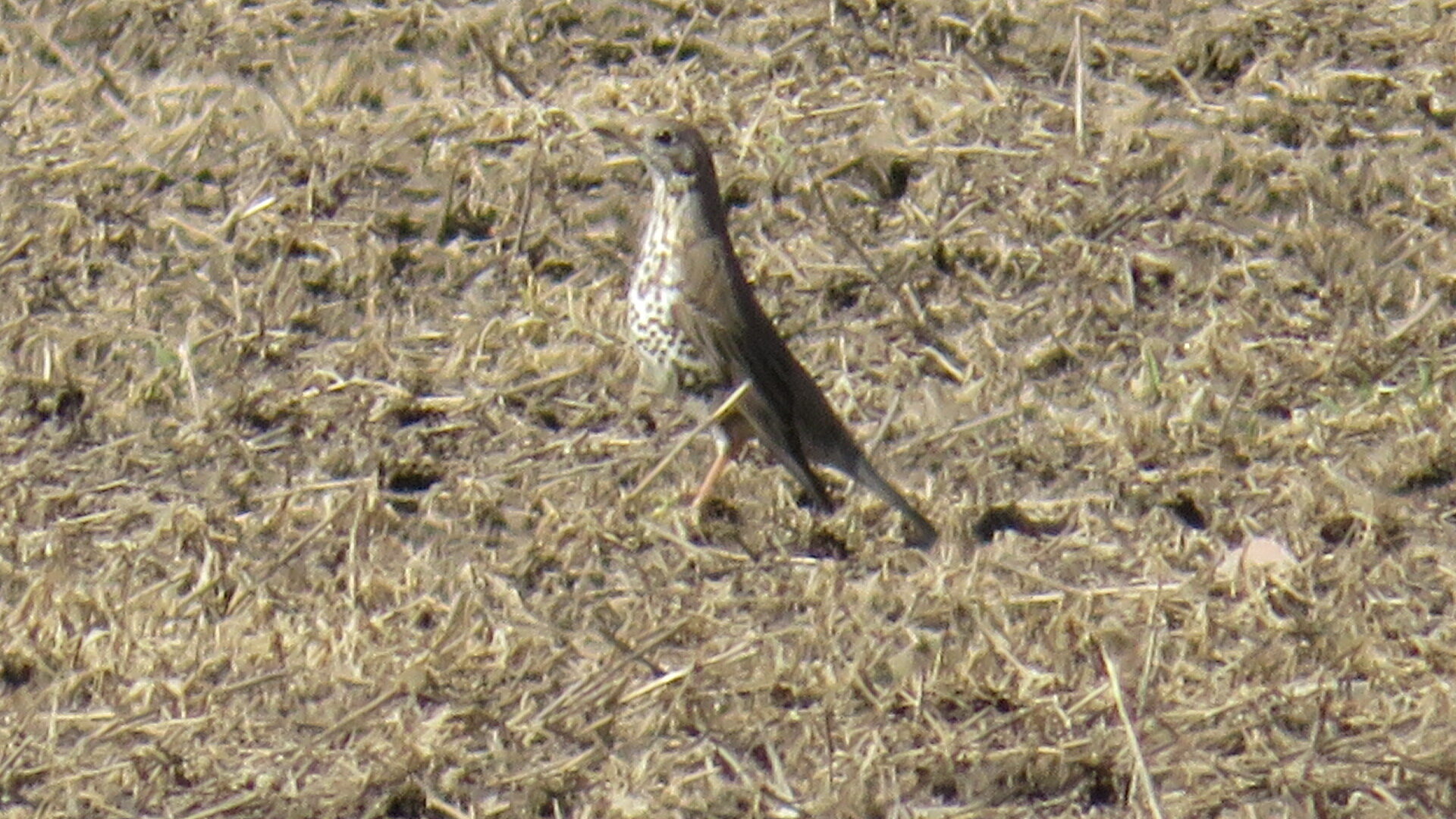 Valokuvaaja: Risto Kangassalo