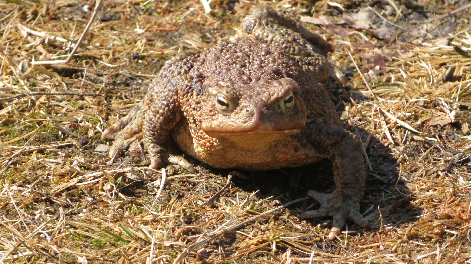 Valokuvaaja: Risto Kangassalo