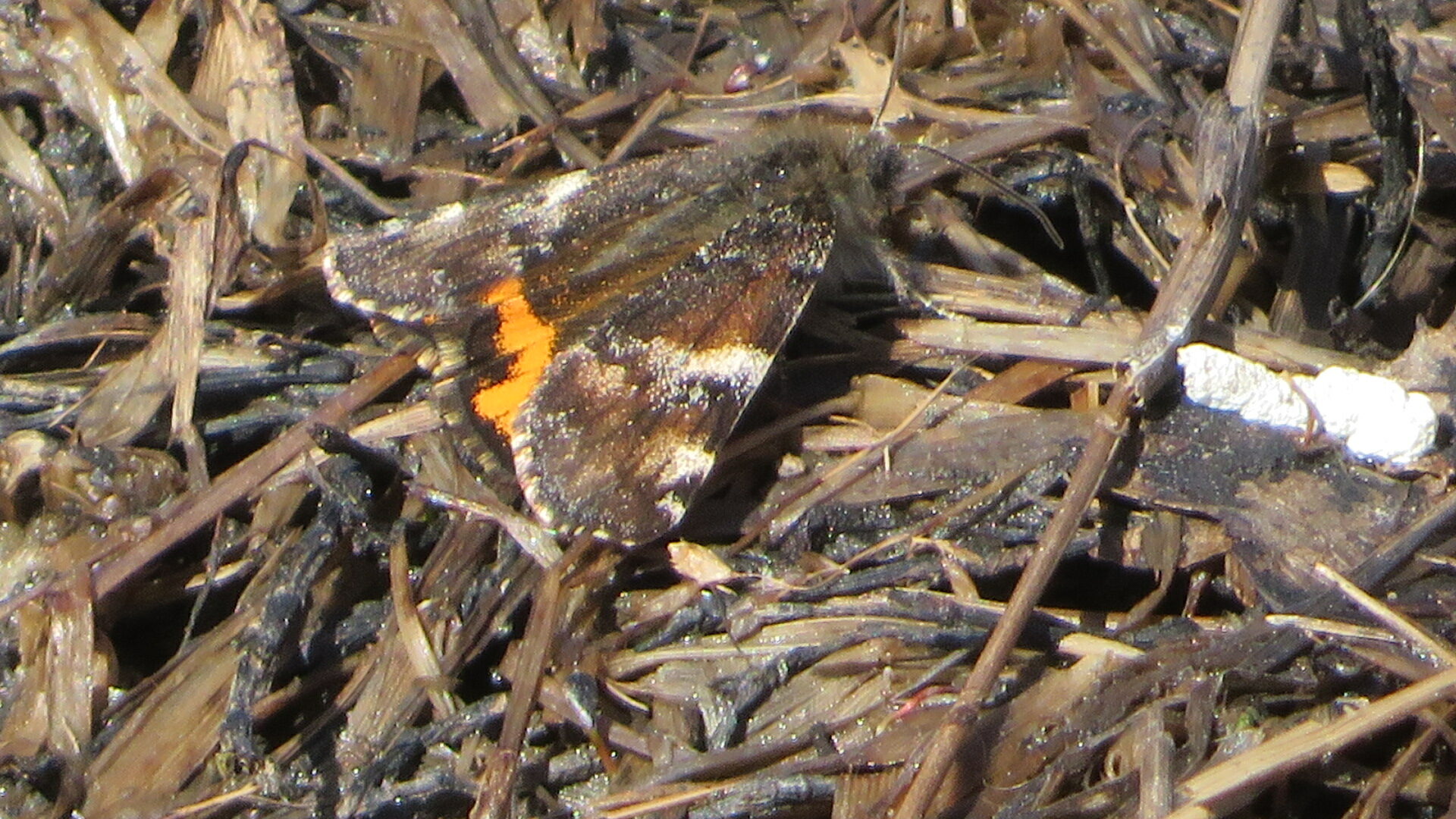 Valokuvaaja: Risto Kangassalo