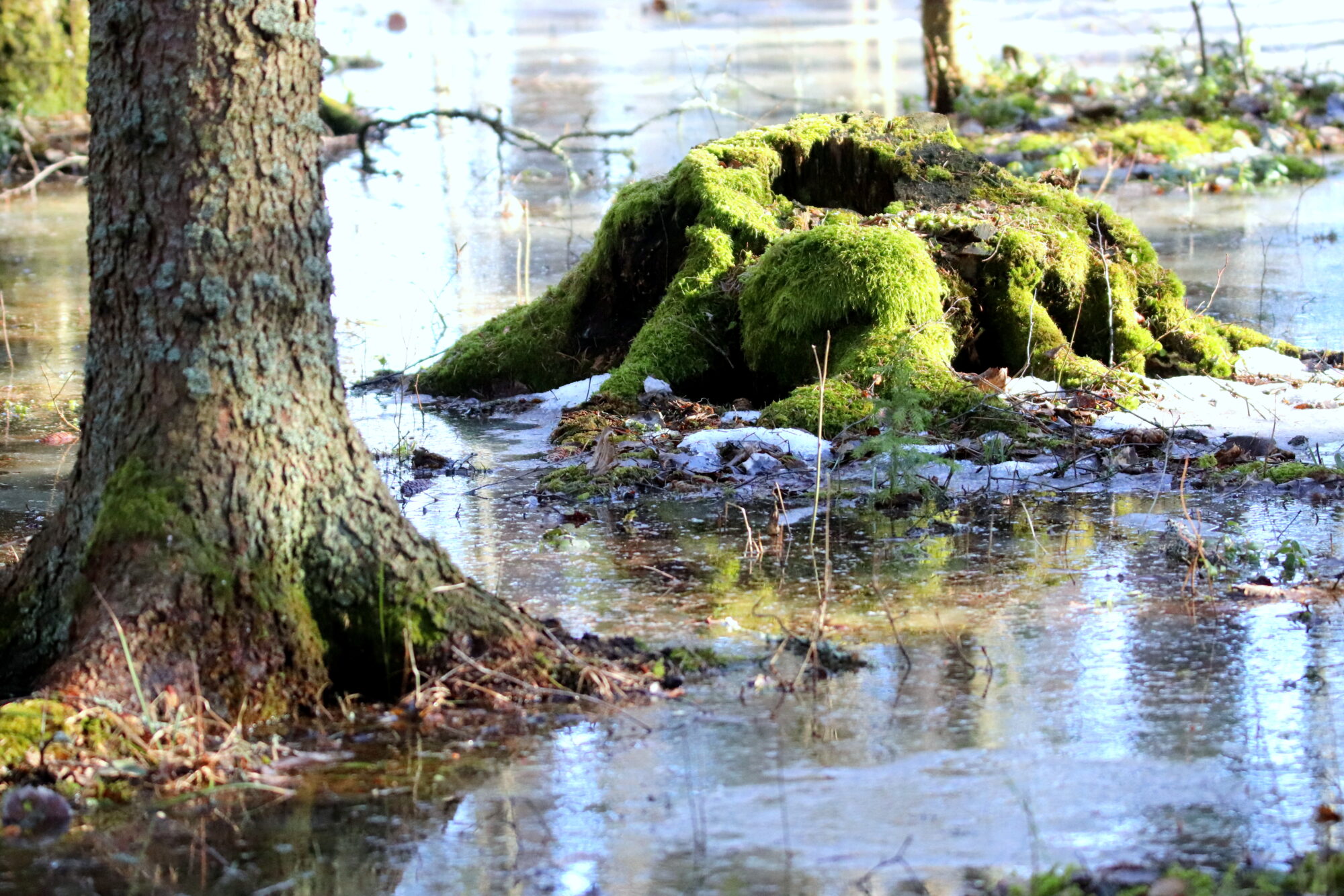 Valokuvaaja: Irja Lehtinen
