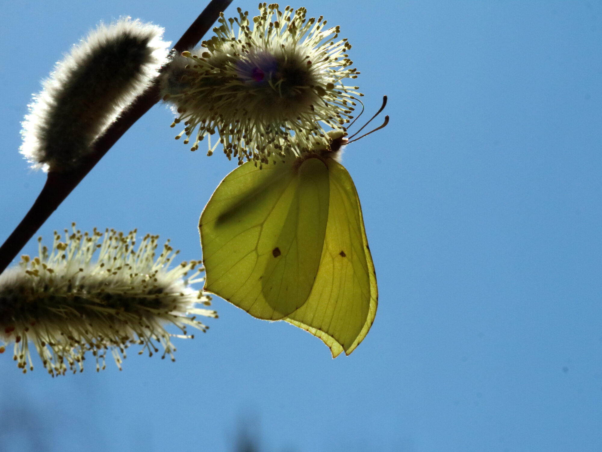 Valokuvaaja: Hannu Rasiranta