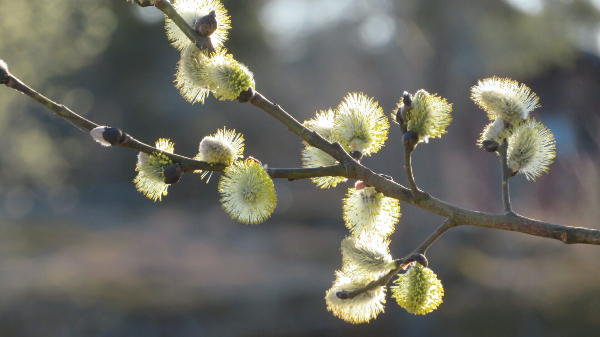 Valokuvaaja: Risto Kangassalo Valokuvaaja: Risto Kangassalo