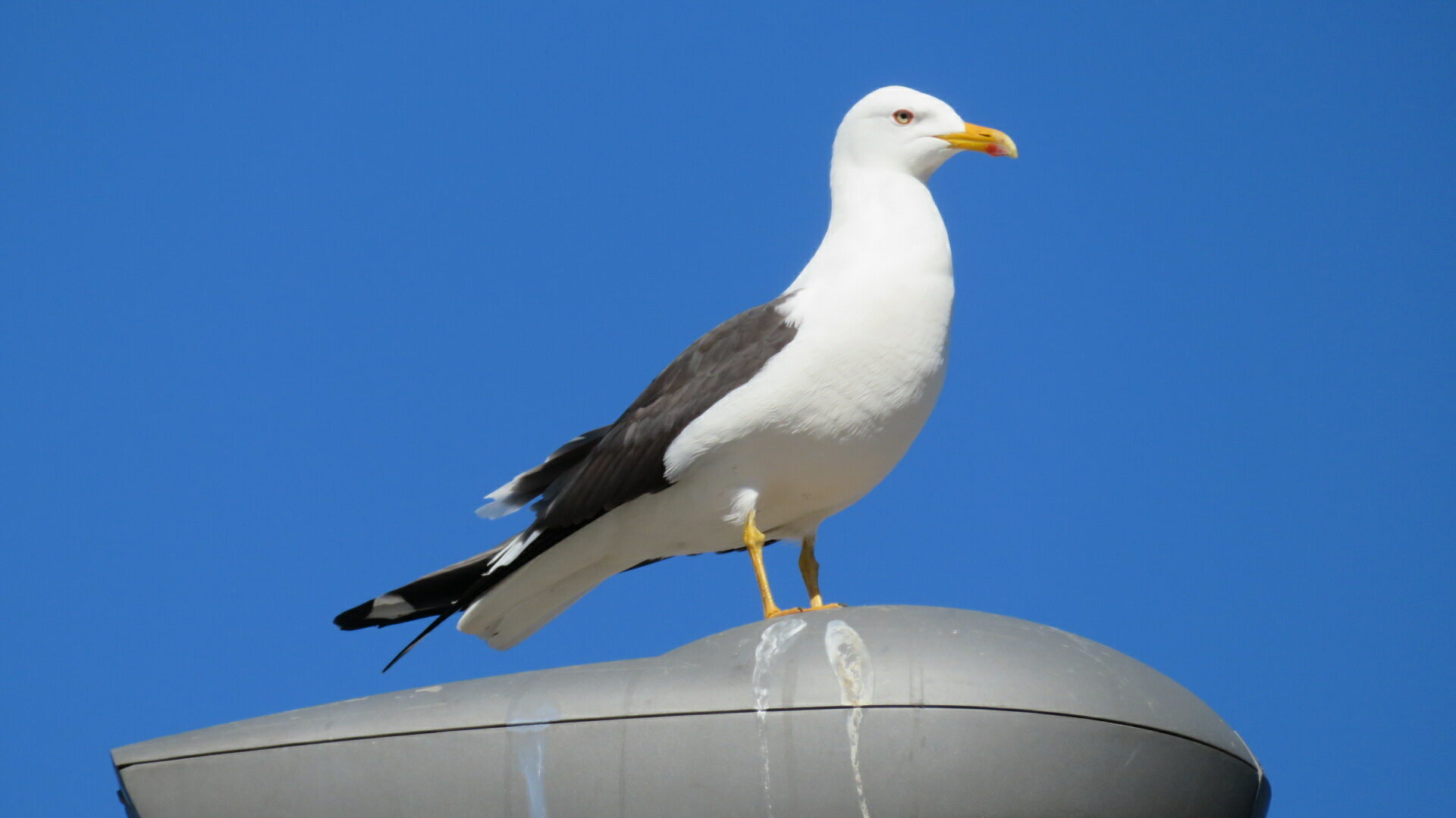 Valokuvaaja: Risto Kangassalo
