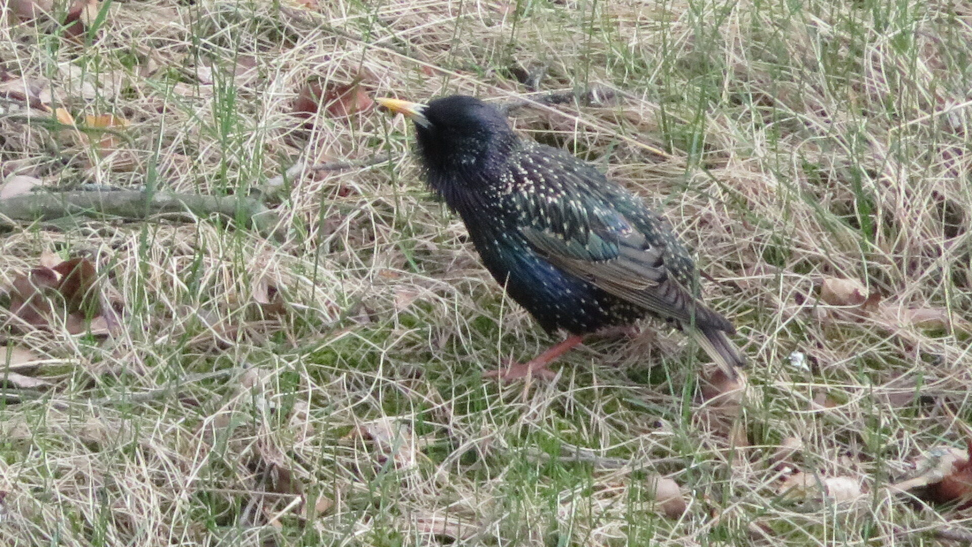 Valokuvaaja: Risto Kangassalo