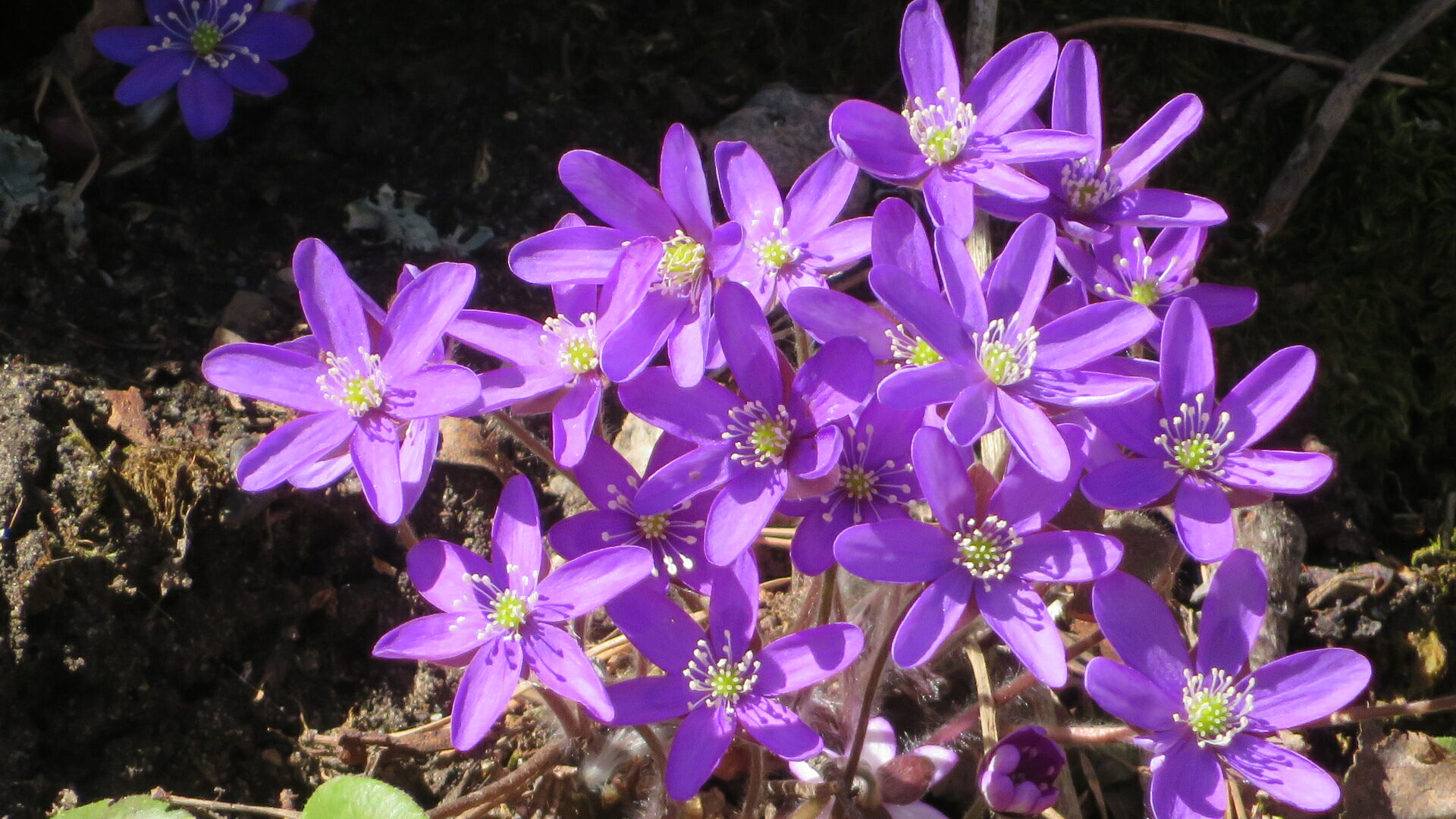 Valokuvaaja: Risto Kangassalo