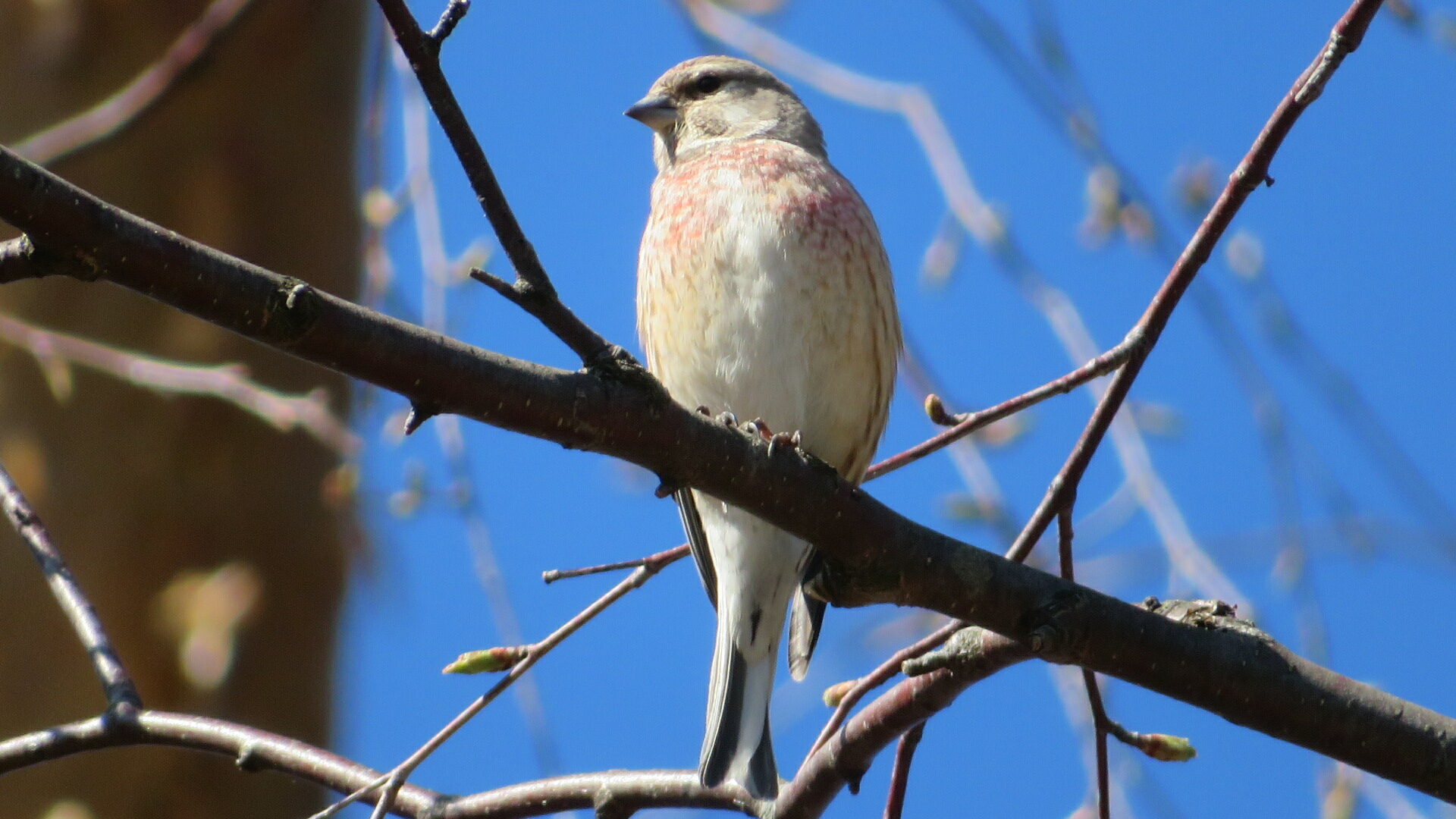 Valokuvaaja: Risto Kangassalo