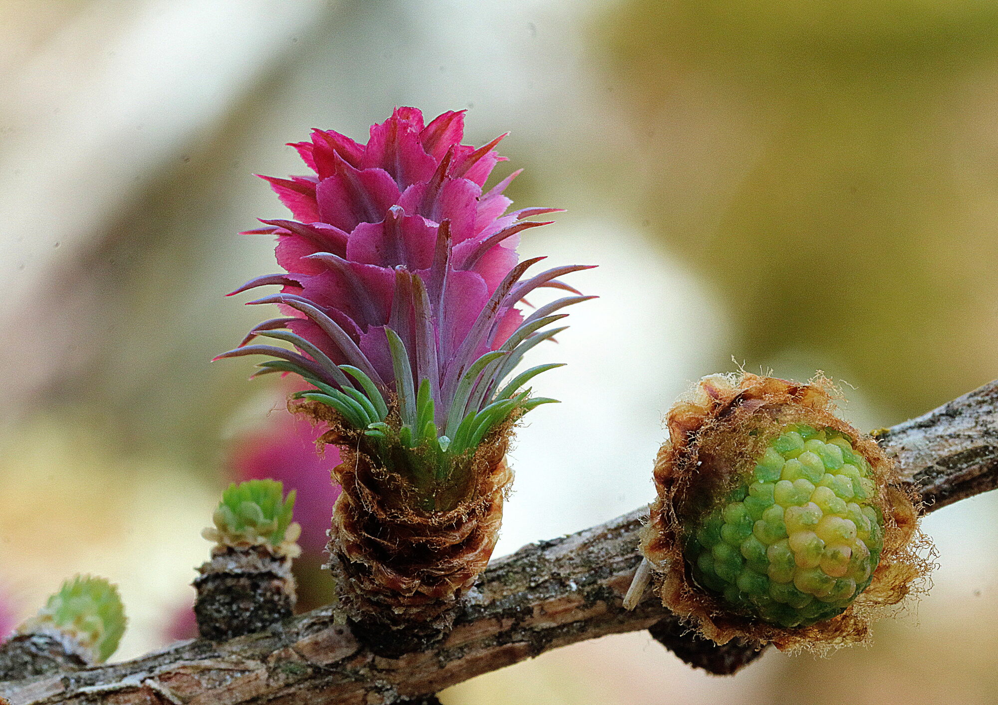 Valokuvaaja: Hannu Rasiranta Valokuvaaja: Hannu Rasiranta