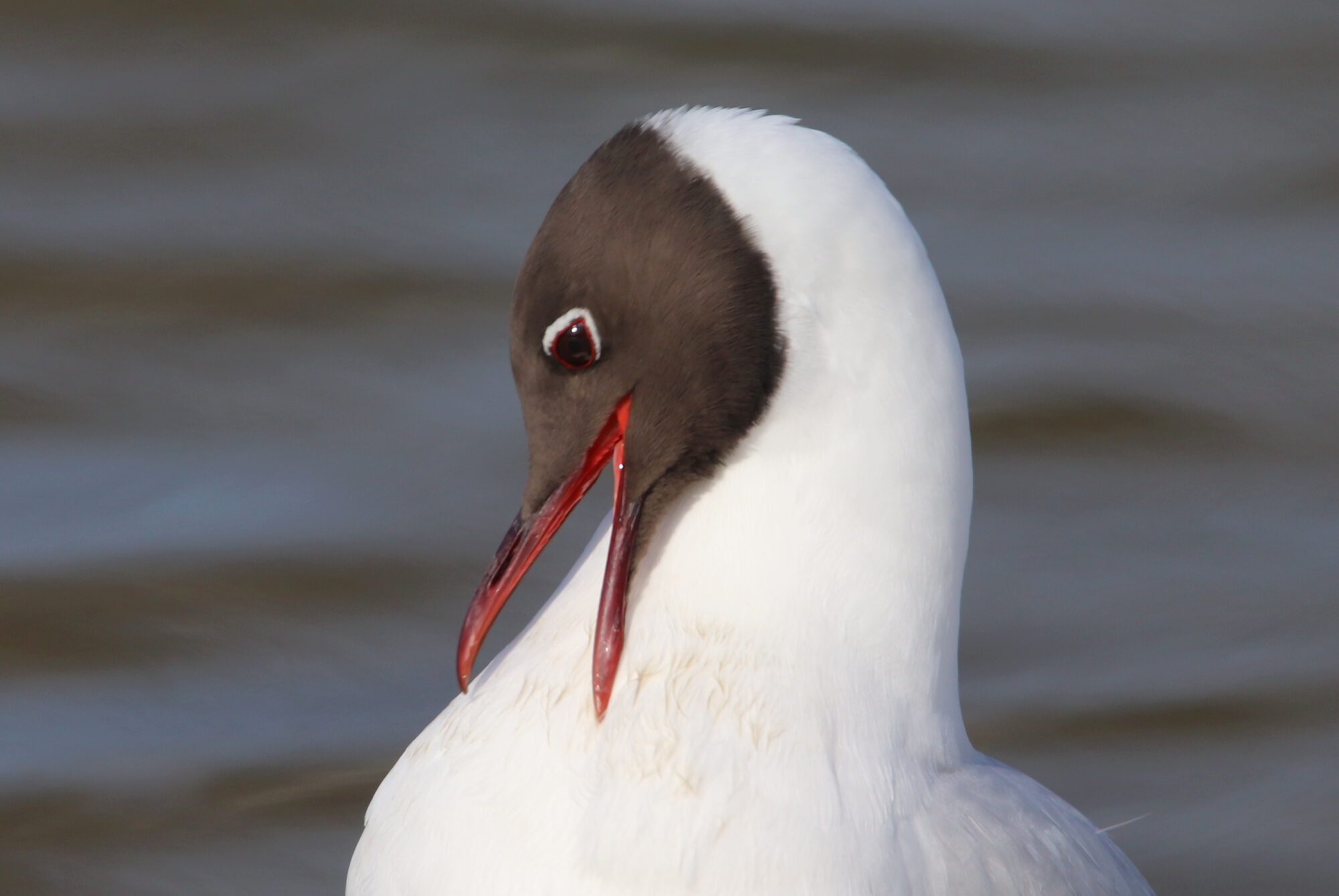 Valokuvaaja: Irja Lehtinen
