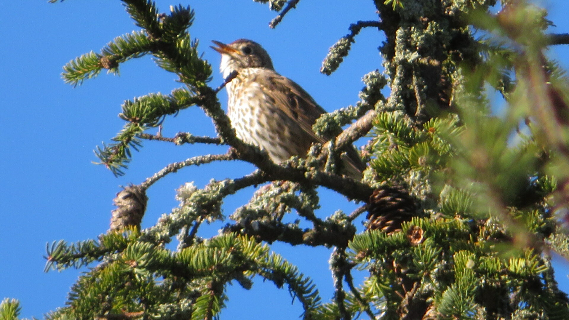 Valokuvaaja: Risto Kangassalo