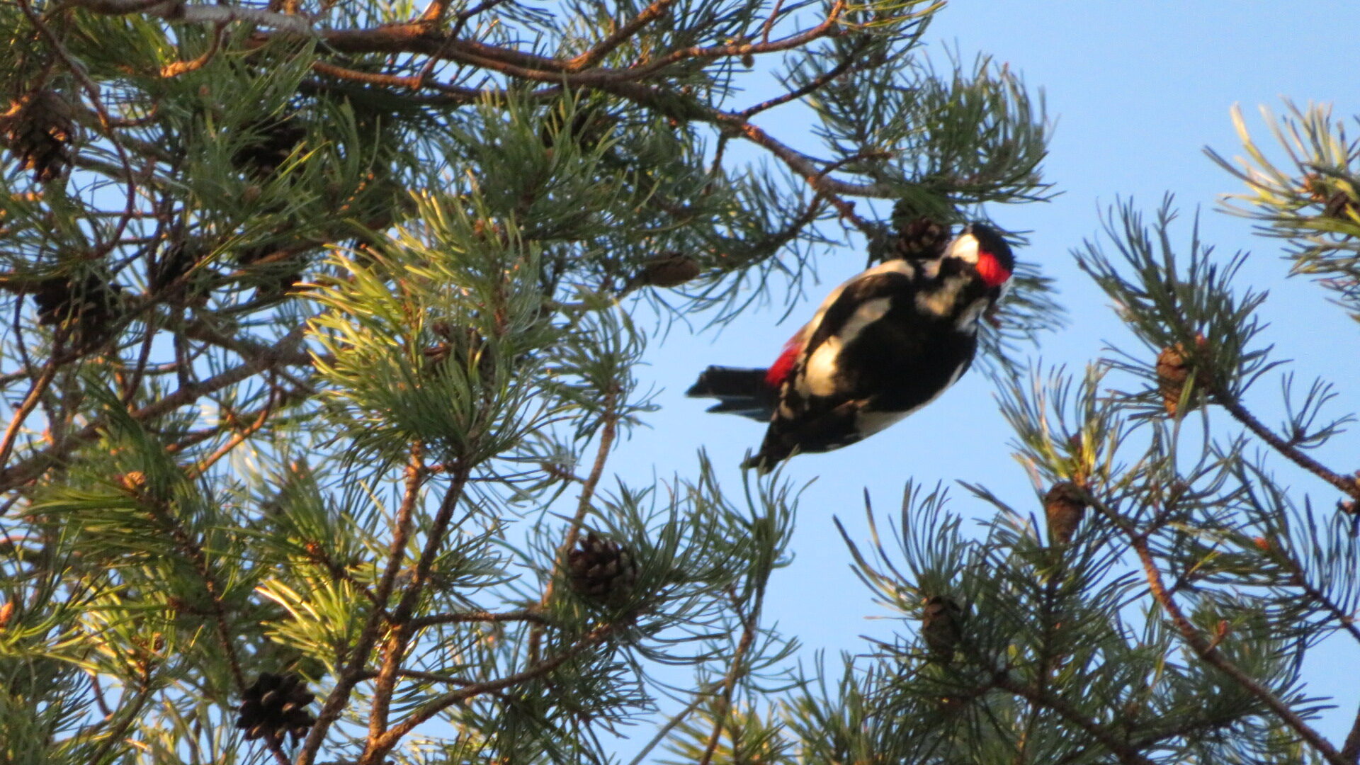 Valokuvaaja: Risto Kangassalo