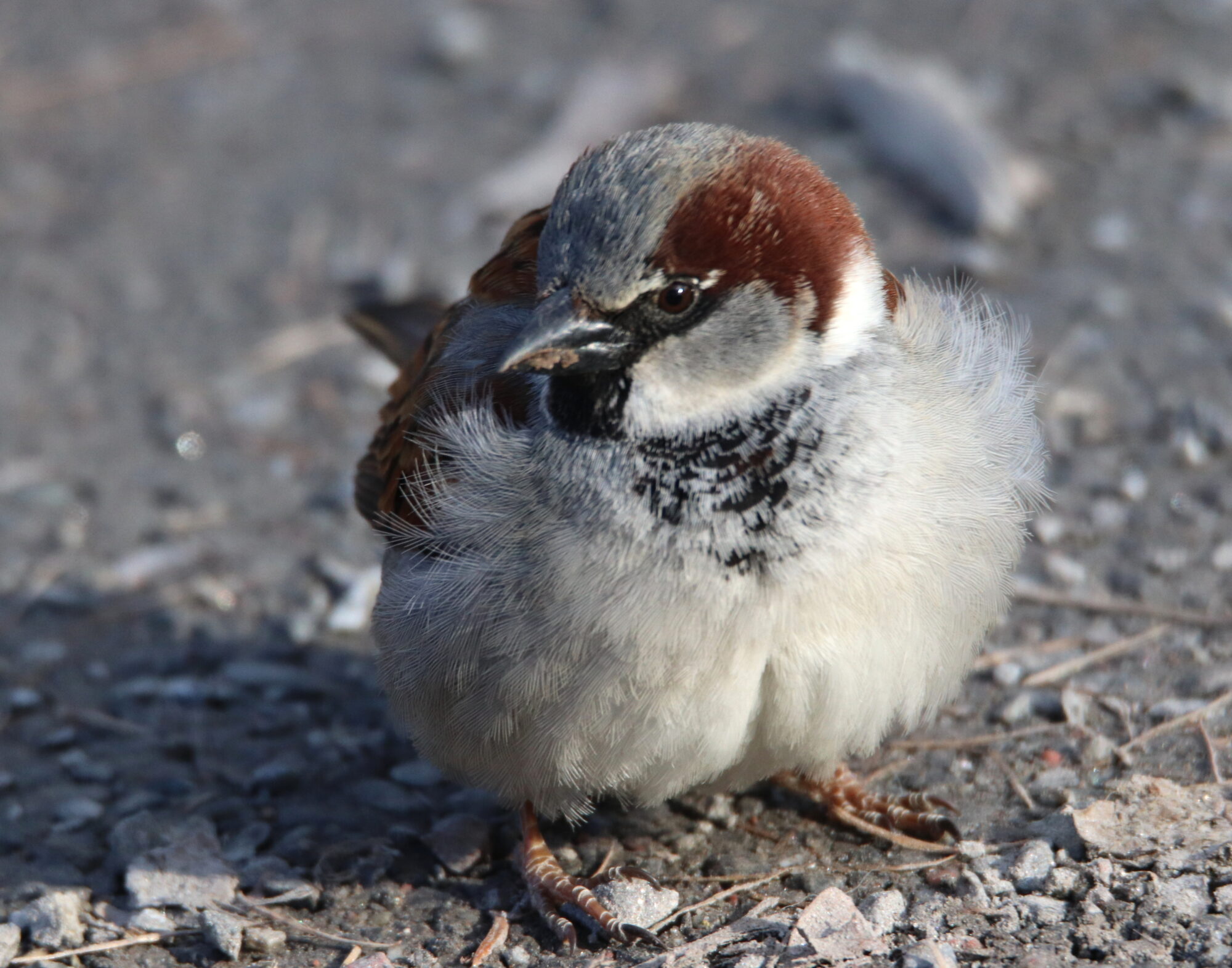 Valokuvaaja: Irja Lehtinen Valokuvaaja: Irja Lehtinen