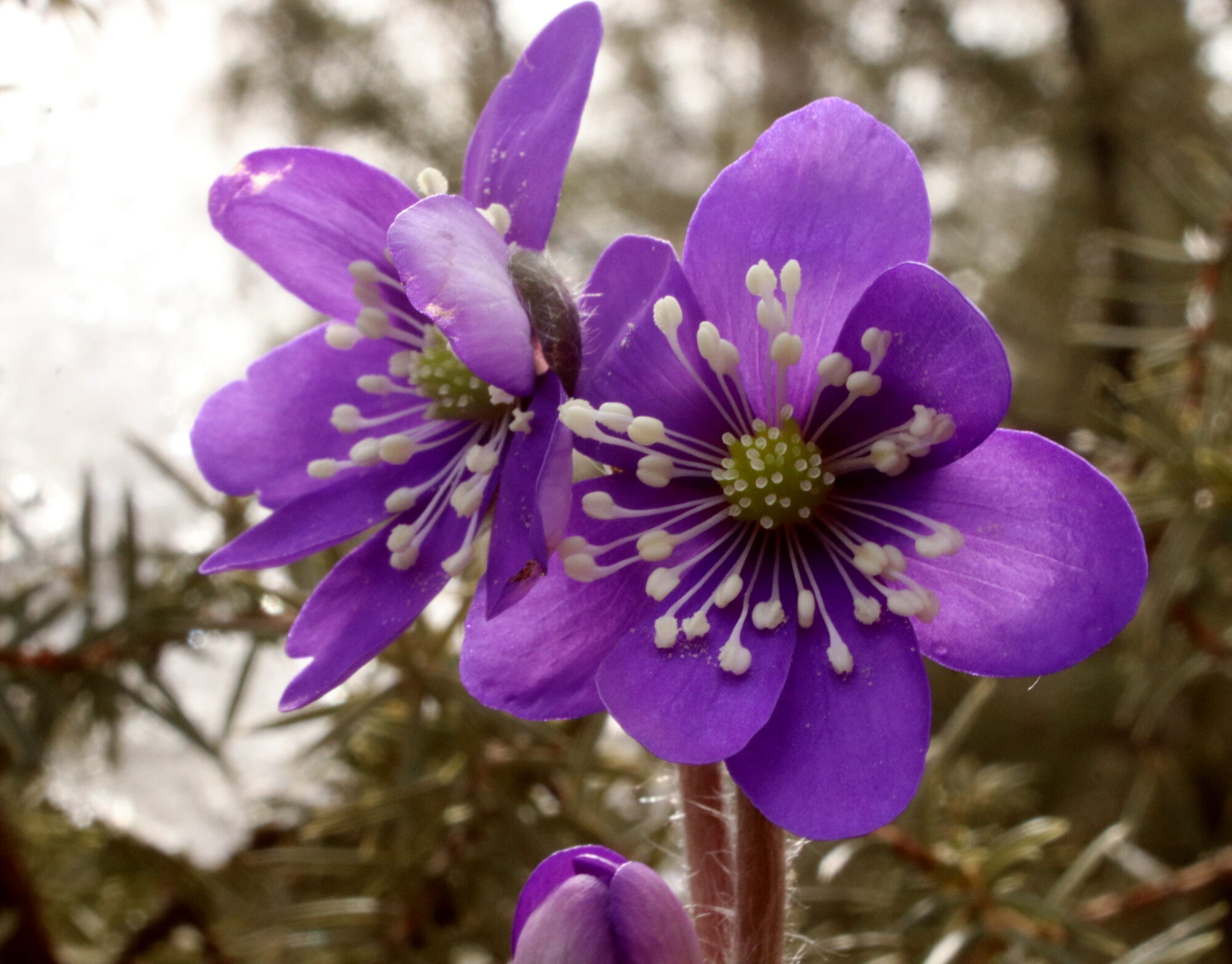 Valokuvaaja: Irja Lehtinen