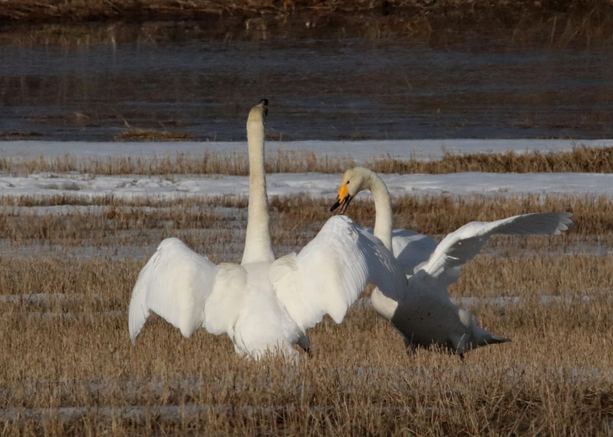 Valokuvaaja: Irja Lehtinen