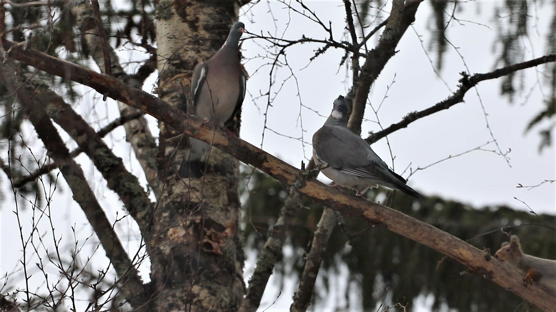 Valokuvaaja: Matti Eskelinen