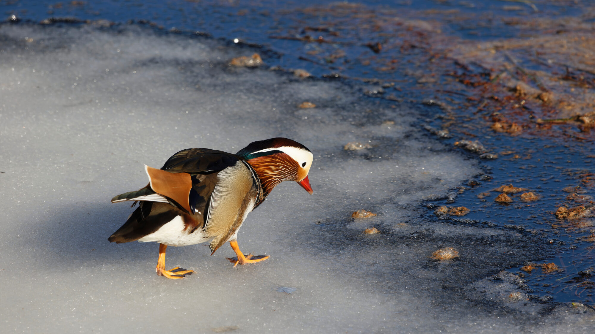 Valokuvaaja: Tommi Kujala