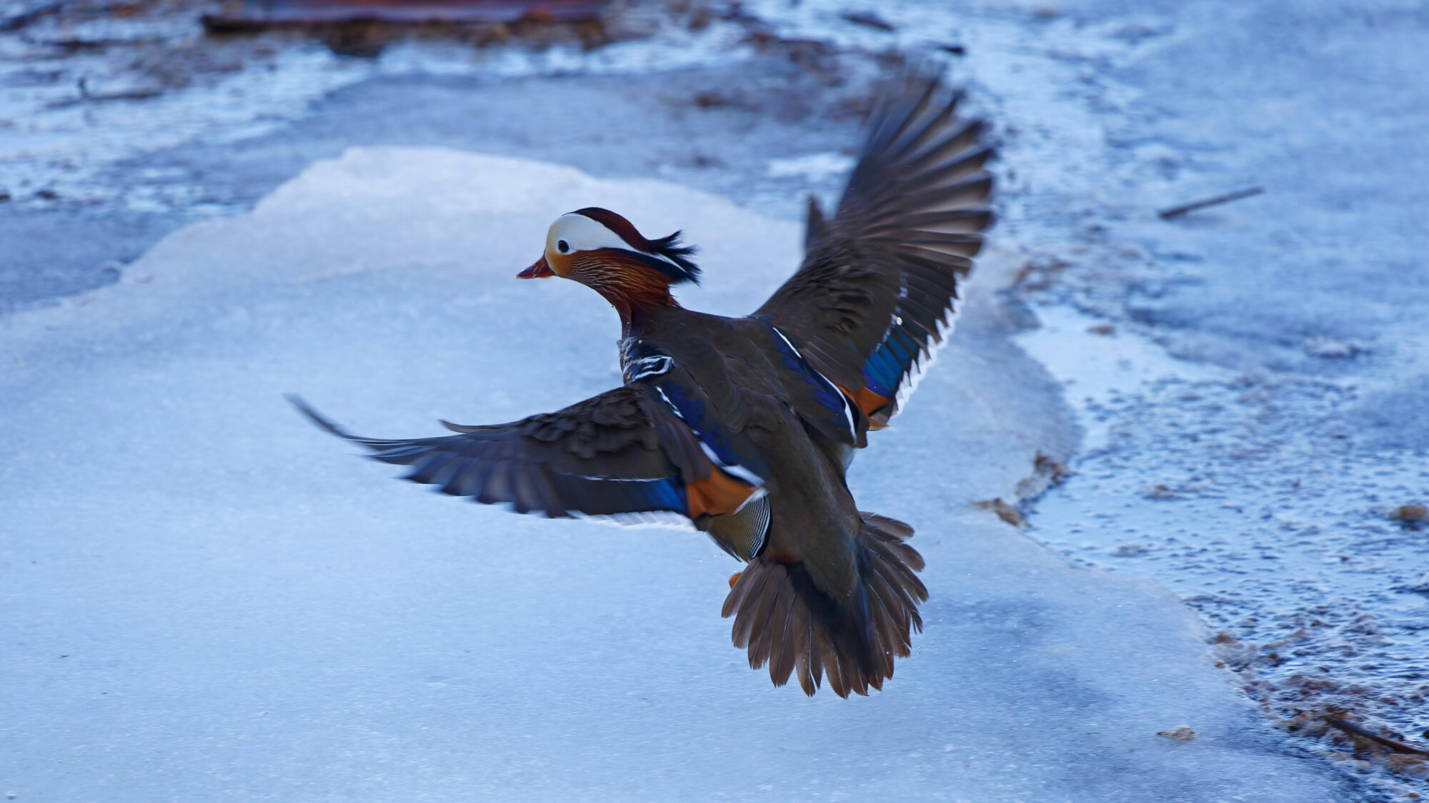 Valokuvaaja: Tommi Kujala