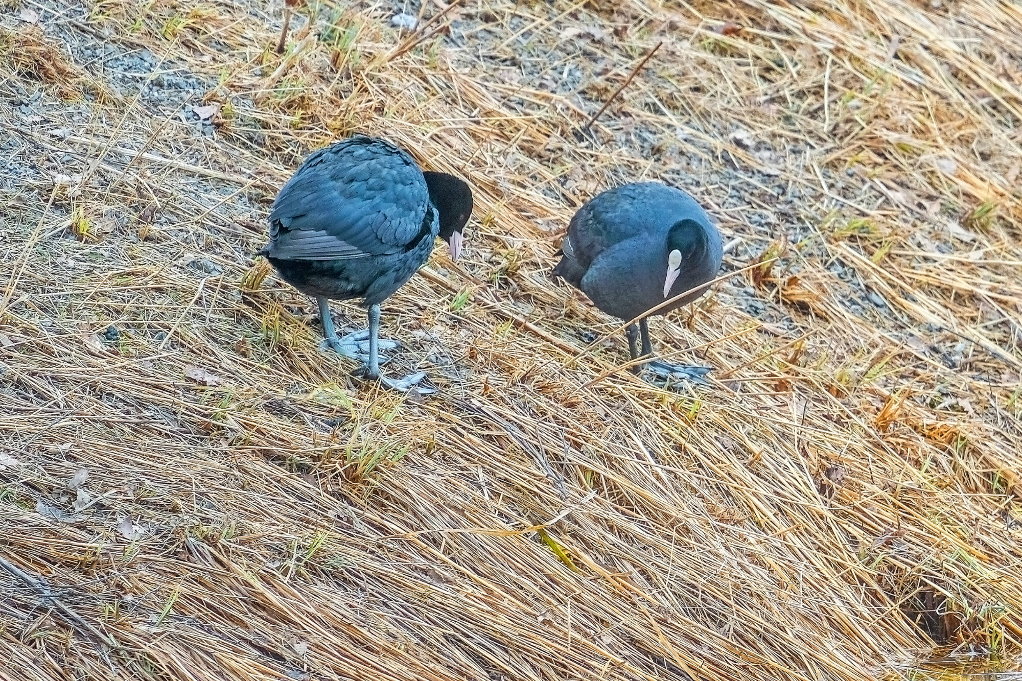 Valokuvaaja: Esko Pihl Valokuvaaja: Esko Pihl