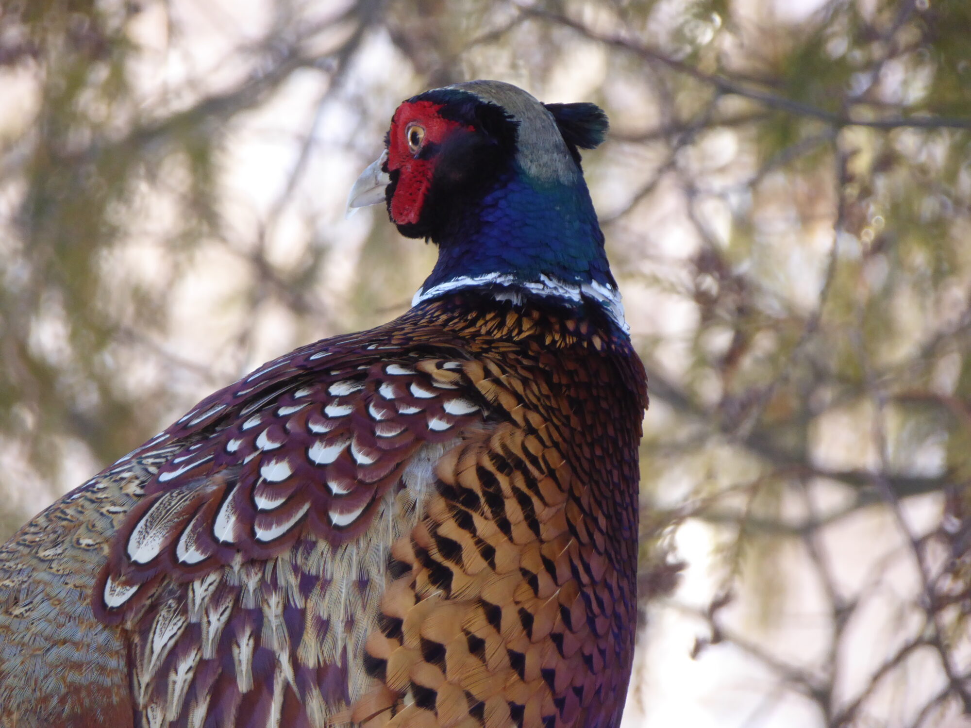 Valokuvaaja: Toni Asikainen