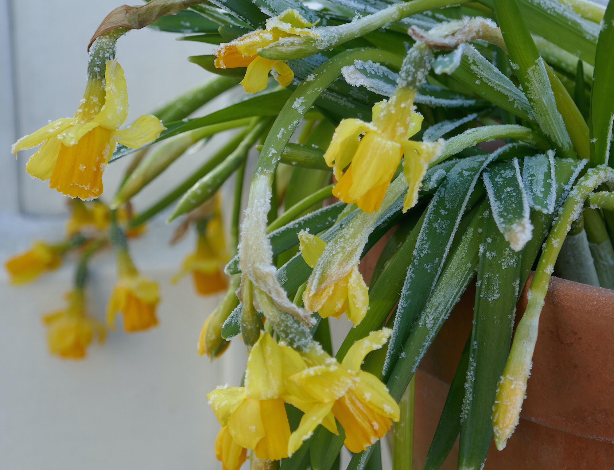 Valokuvaaja: Marjut Ikonen