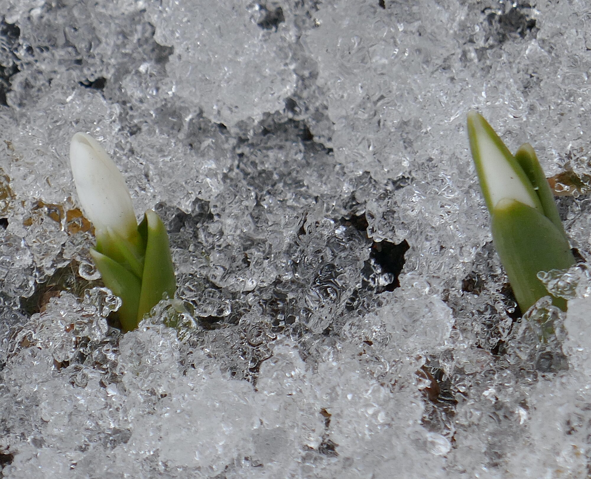 Valokuvaaja: Marjut Ikonen