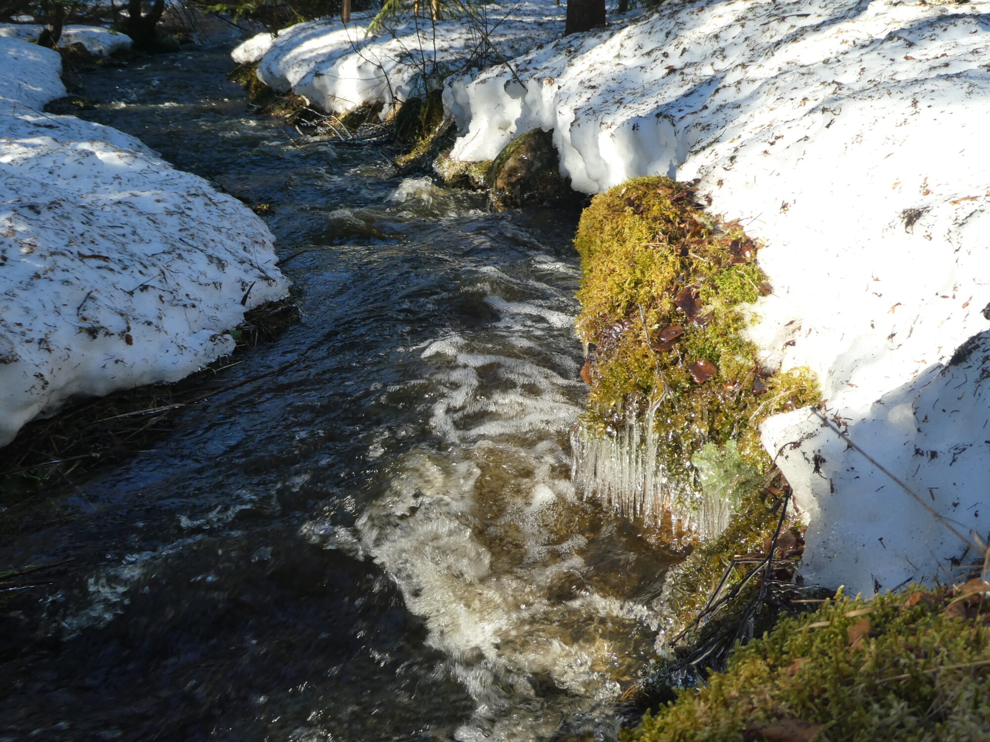 Valokuvaaja: Anja Mustamaa