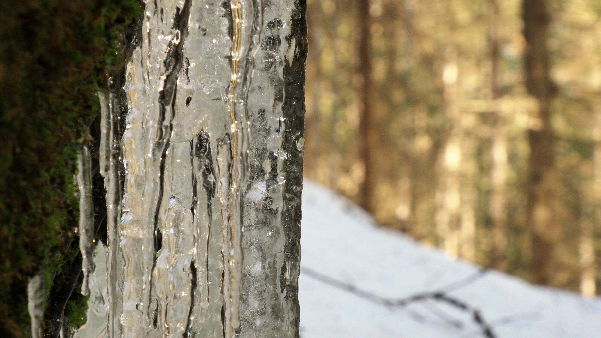 Valokuvaaja: Arja Valtonen