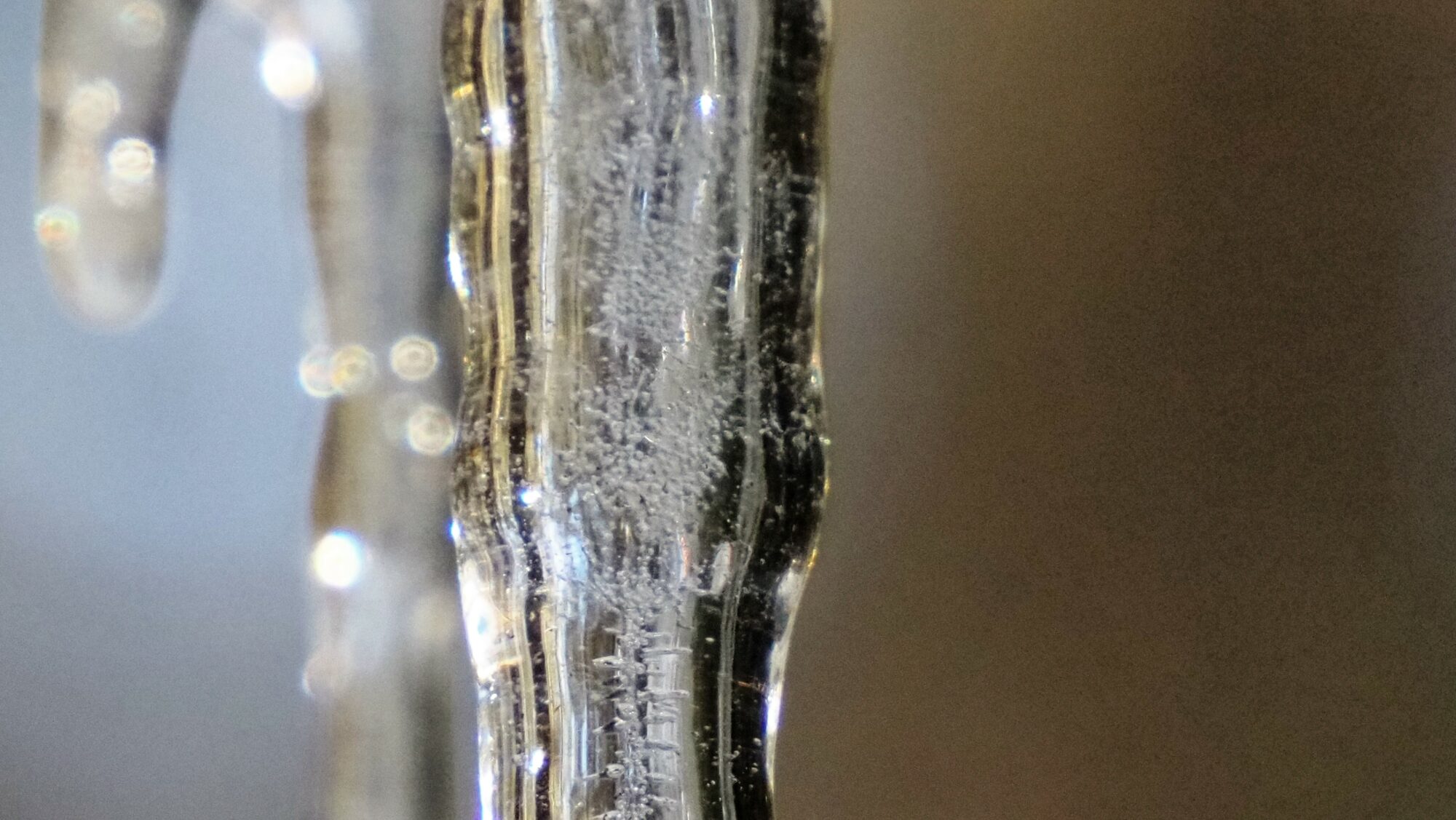 Valokuvaaja: Arja Valtonen