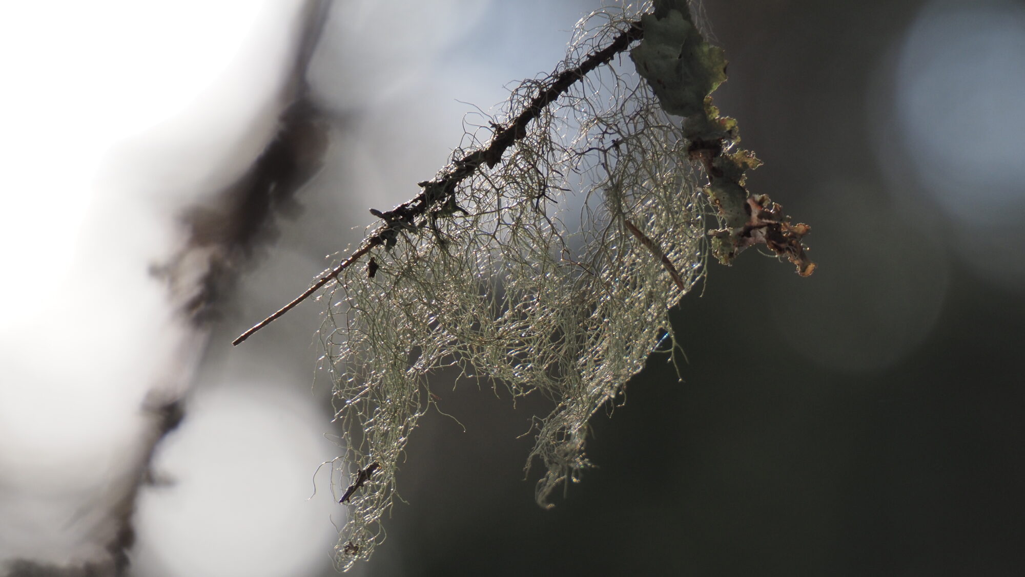 Valokuvaaja: Arja Valtonen