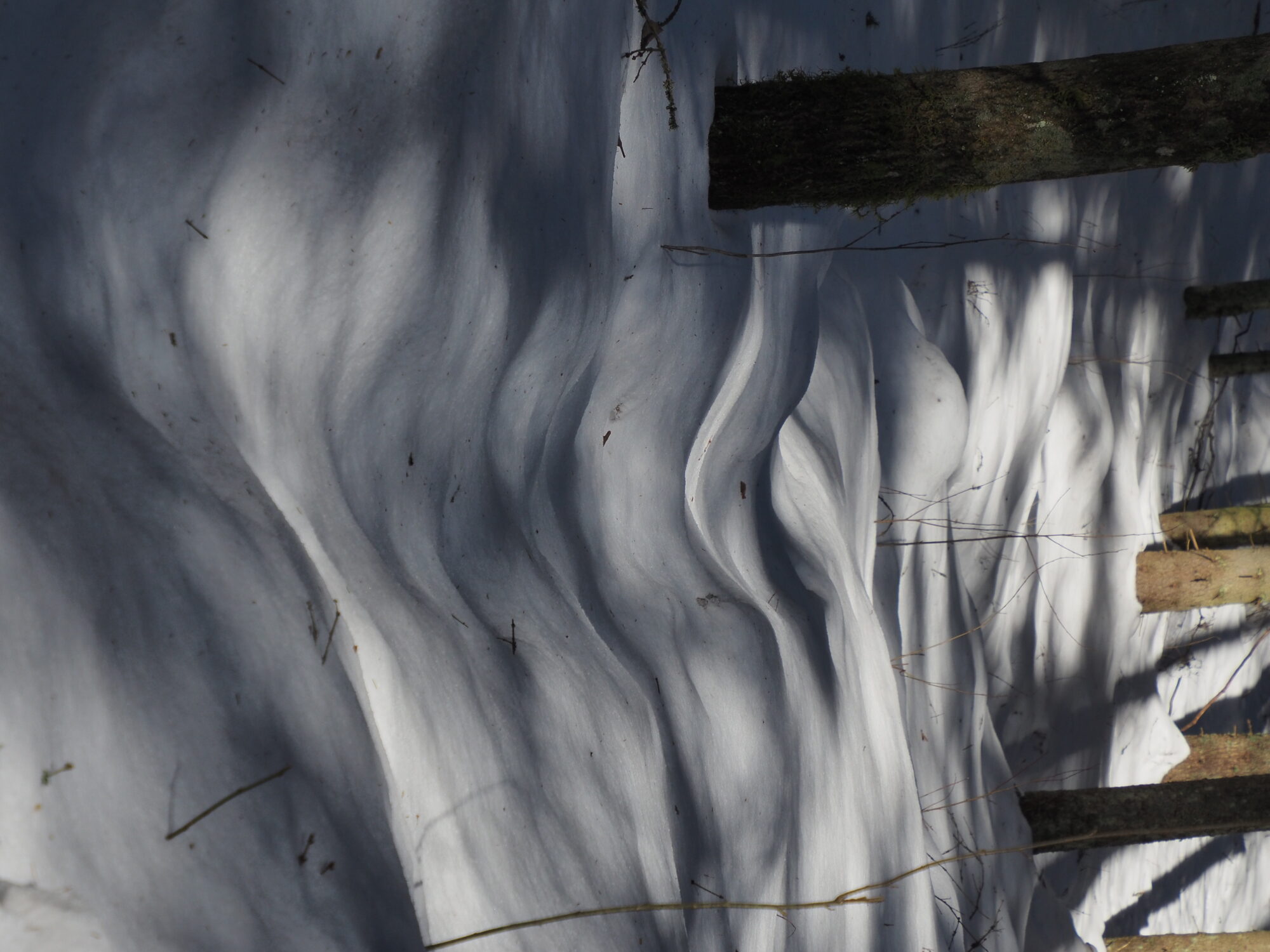 Valokuvaaja: Martti Valtonen