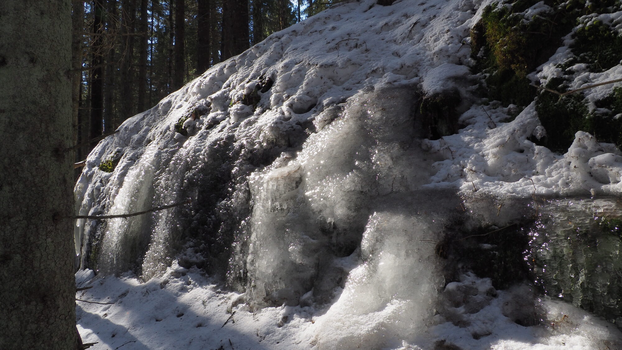 Valokuvaaja: Martti Valtonen