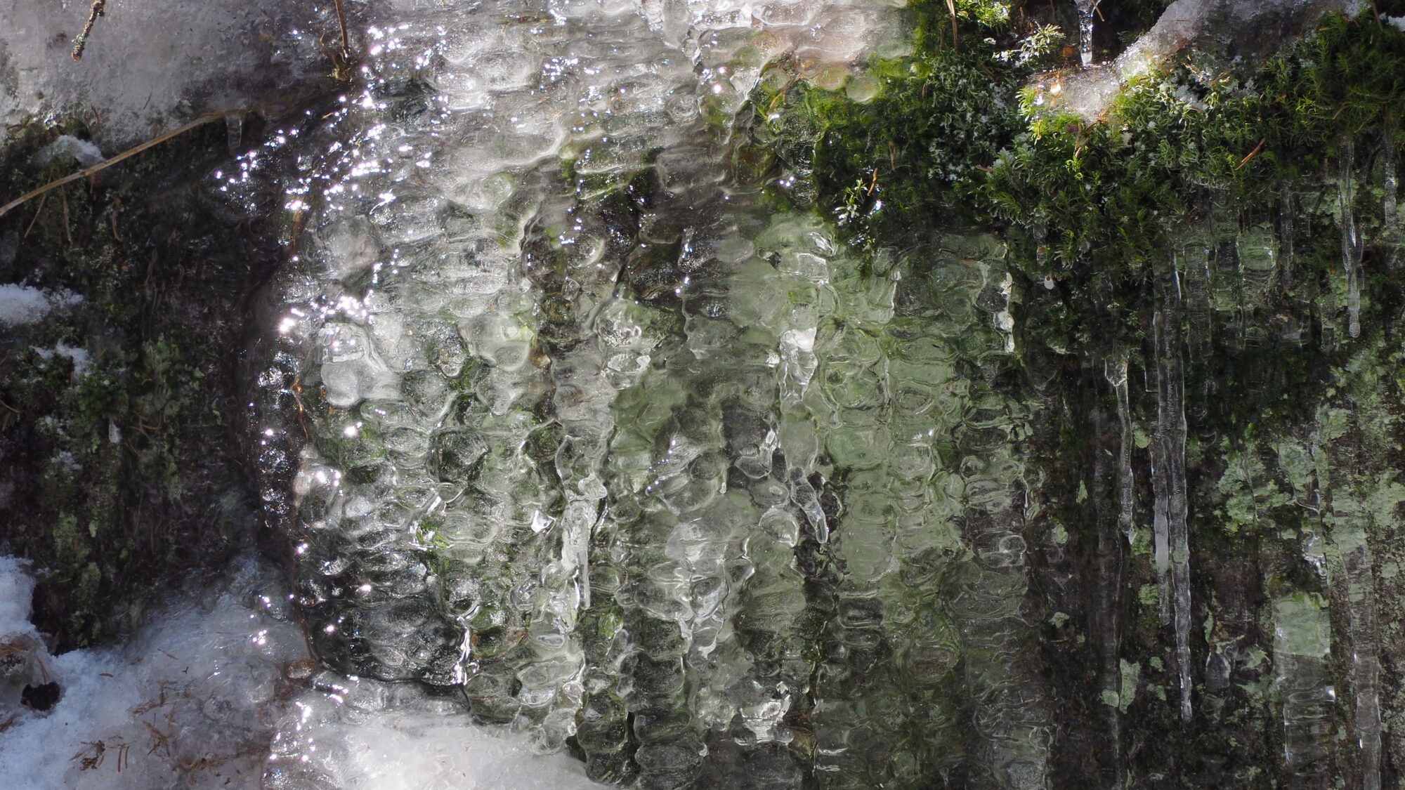 Valokuvaaja: Martti Valtonen