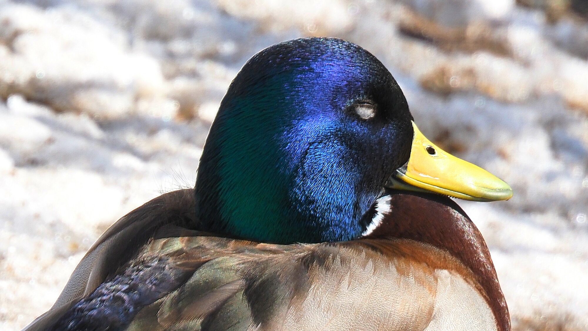 Valokuvaaja: Arja Valtonen