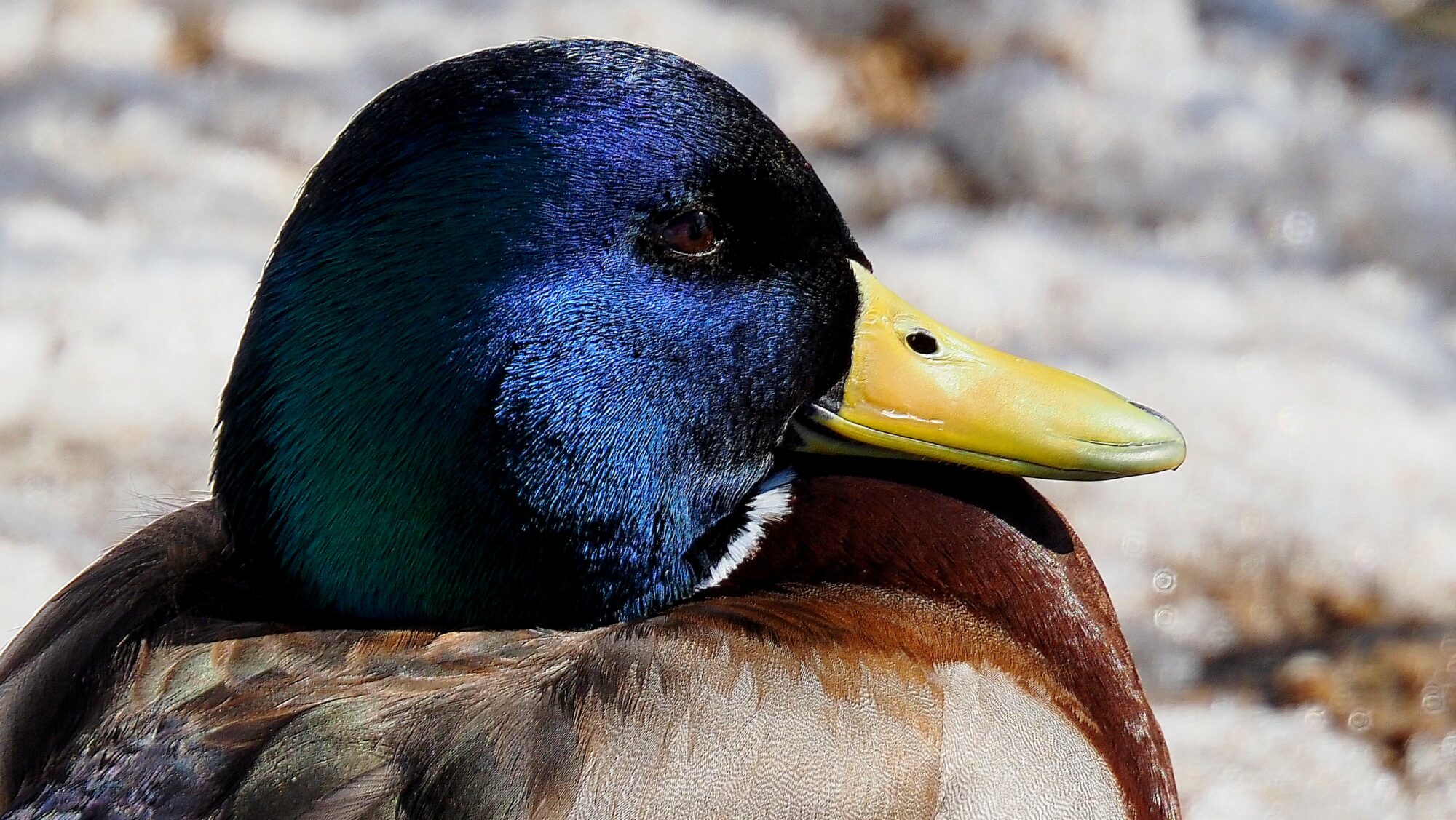 Valokuvaaja: Arja Valtonen