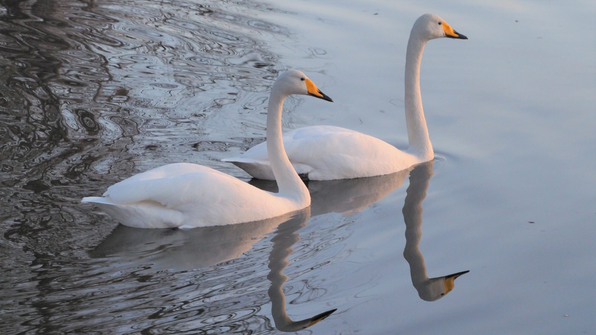 Valokuvaaja: Martti Valtonen Valokuvaaja: Martti Valtonen
