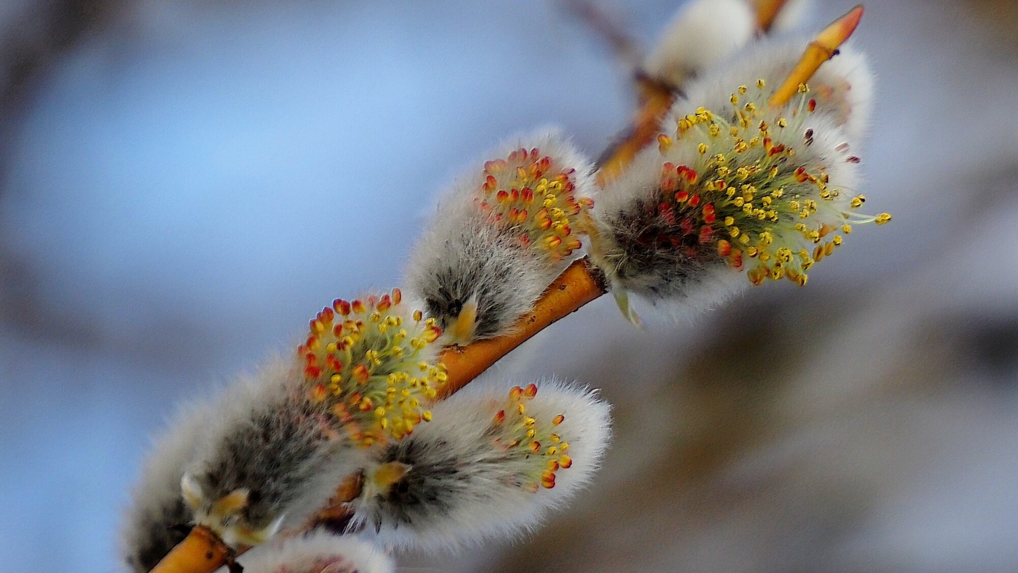Valokuvaaja: Arja Valtonen