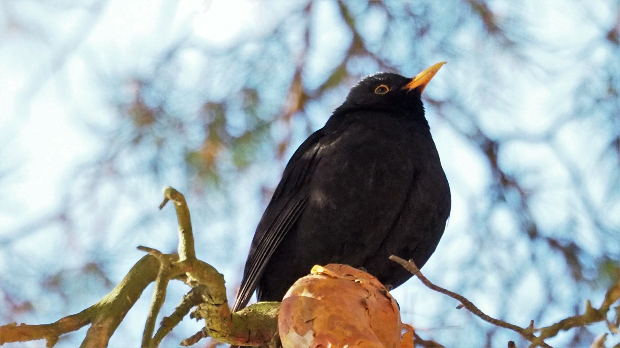 Valokuvaaja: Martti Valtonen