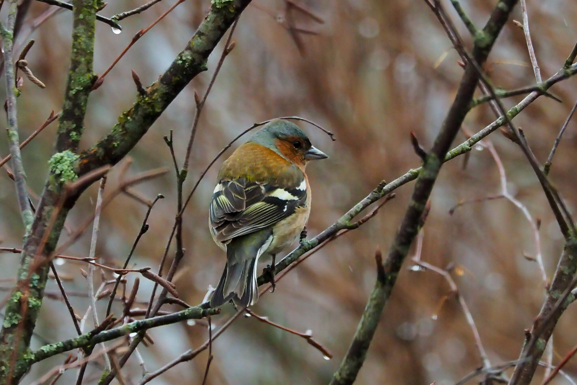 Valokuvaaja: Aki Jalava