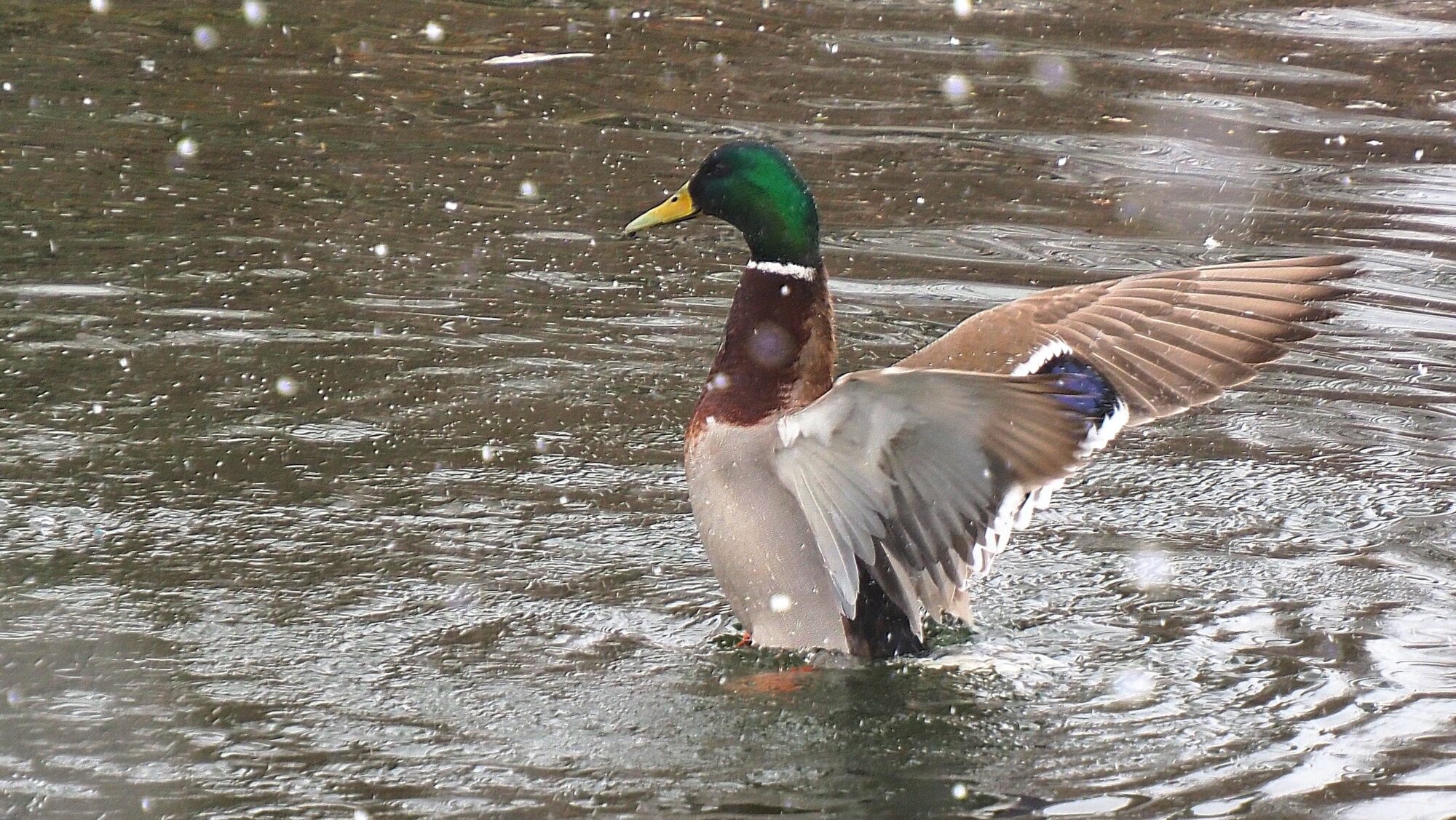 Valokuvaaja: Arja Valtonen