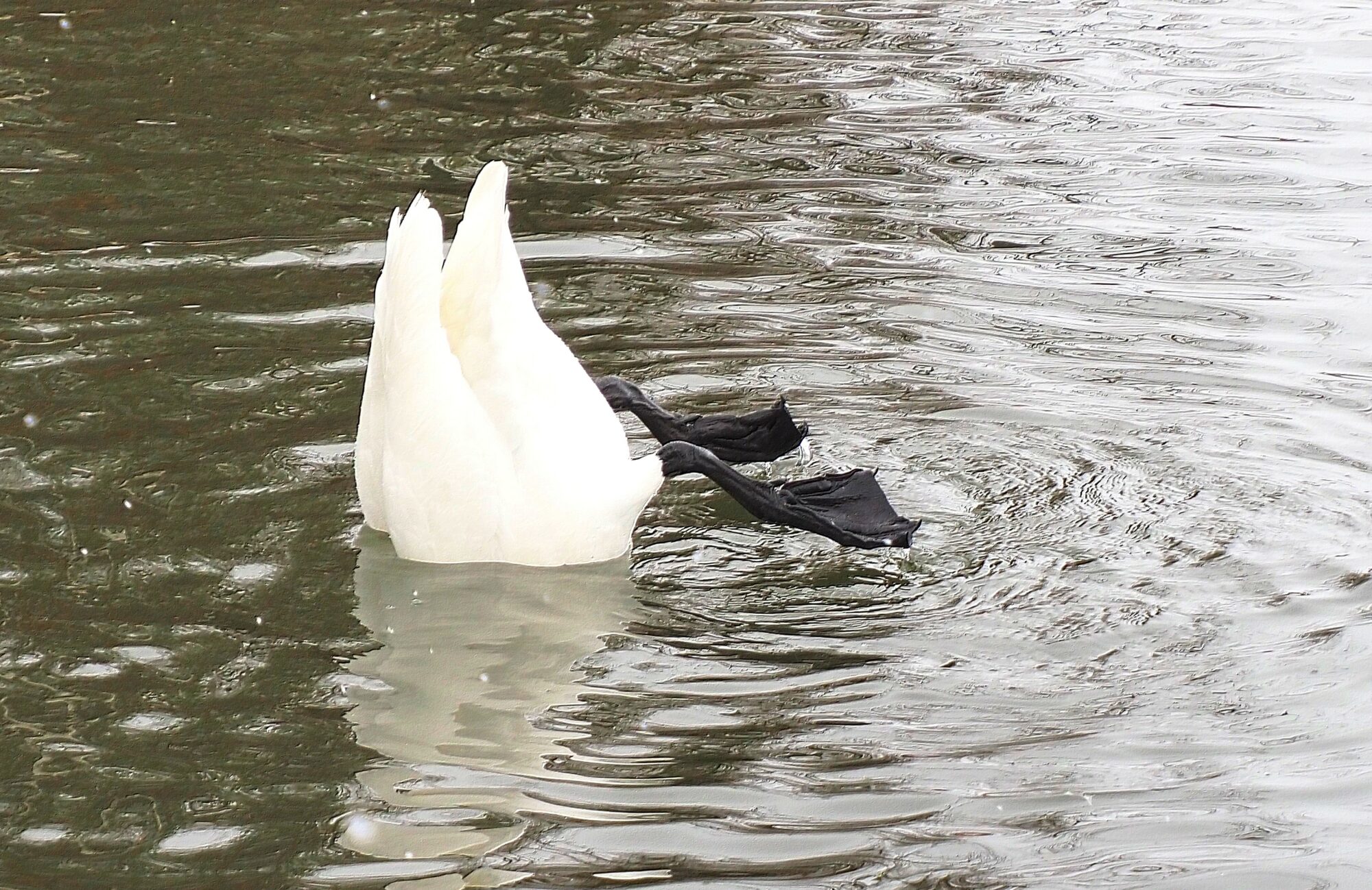 Valokuvaaja: Arja Valtonen