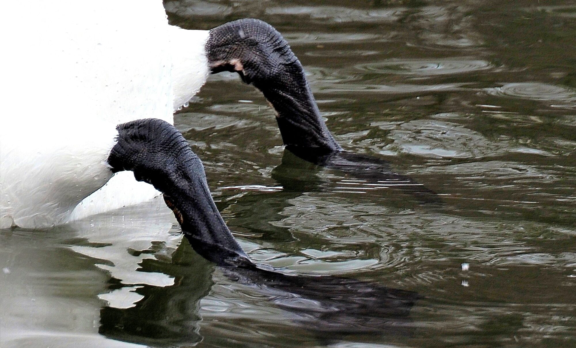 Valokuvaaja: Arja Valtonen